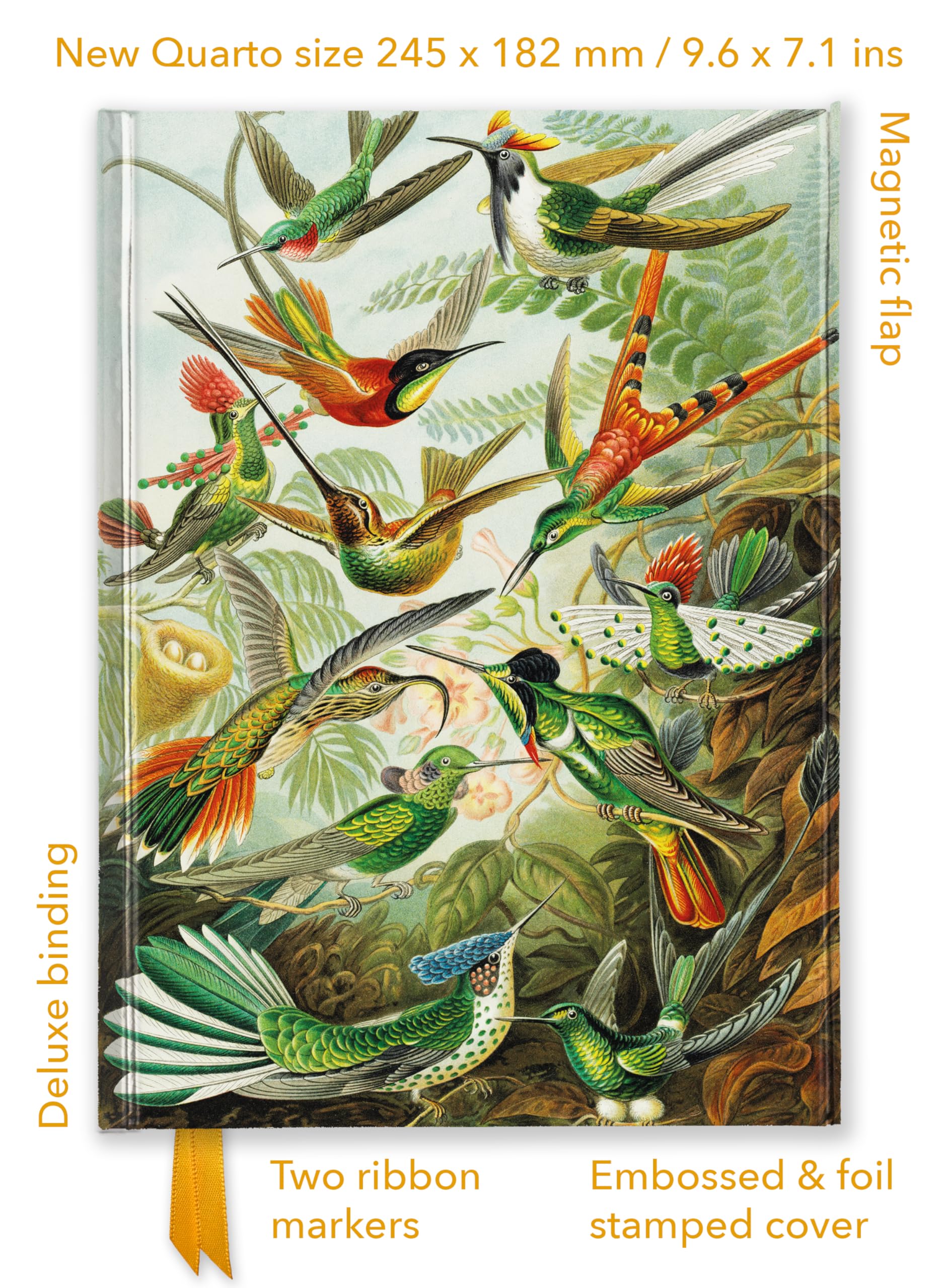 Premium Notizbuch Quartformat: Ernst Haeckel, Kolibris: Unser hochwertiges, liniertes Blankbook mit festem, künstlerisch geprägtem Einband und ... Quartformat Notizbuch mit Magnetverschluss) Media & Communication