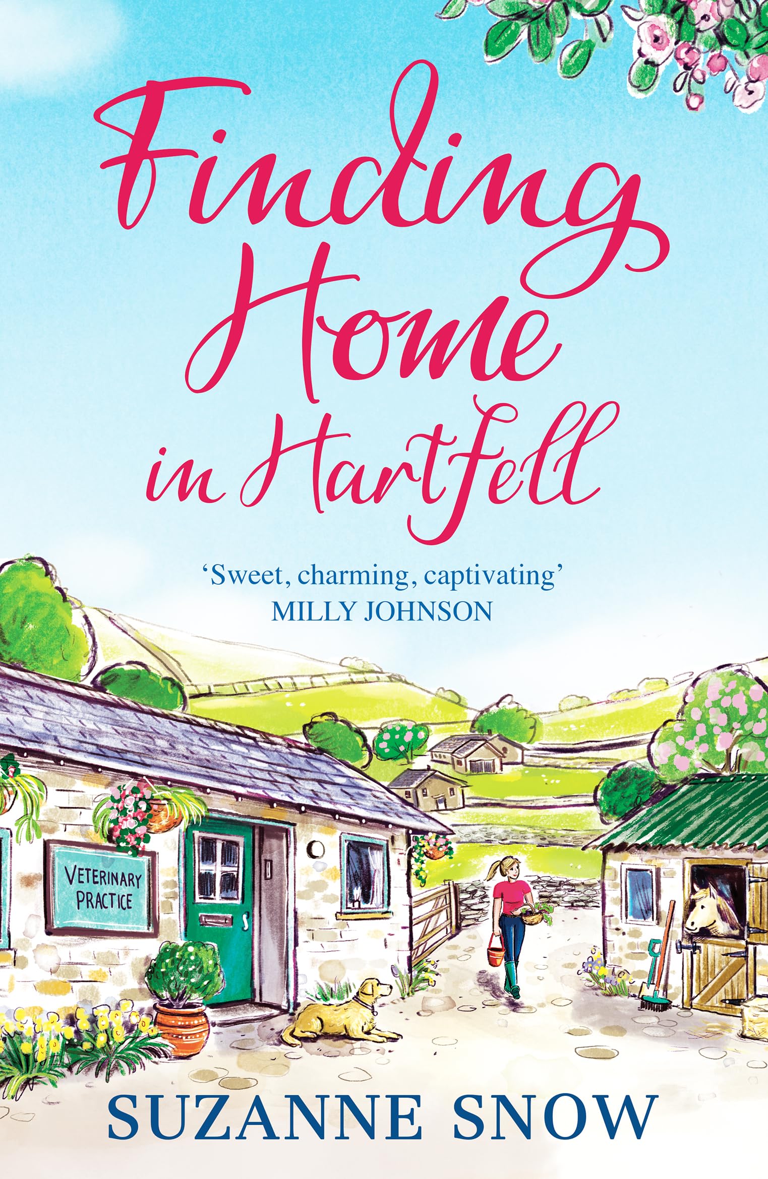 Finding Home in Hartfell Contemporary literature Books