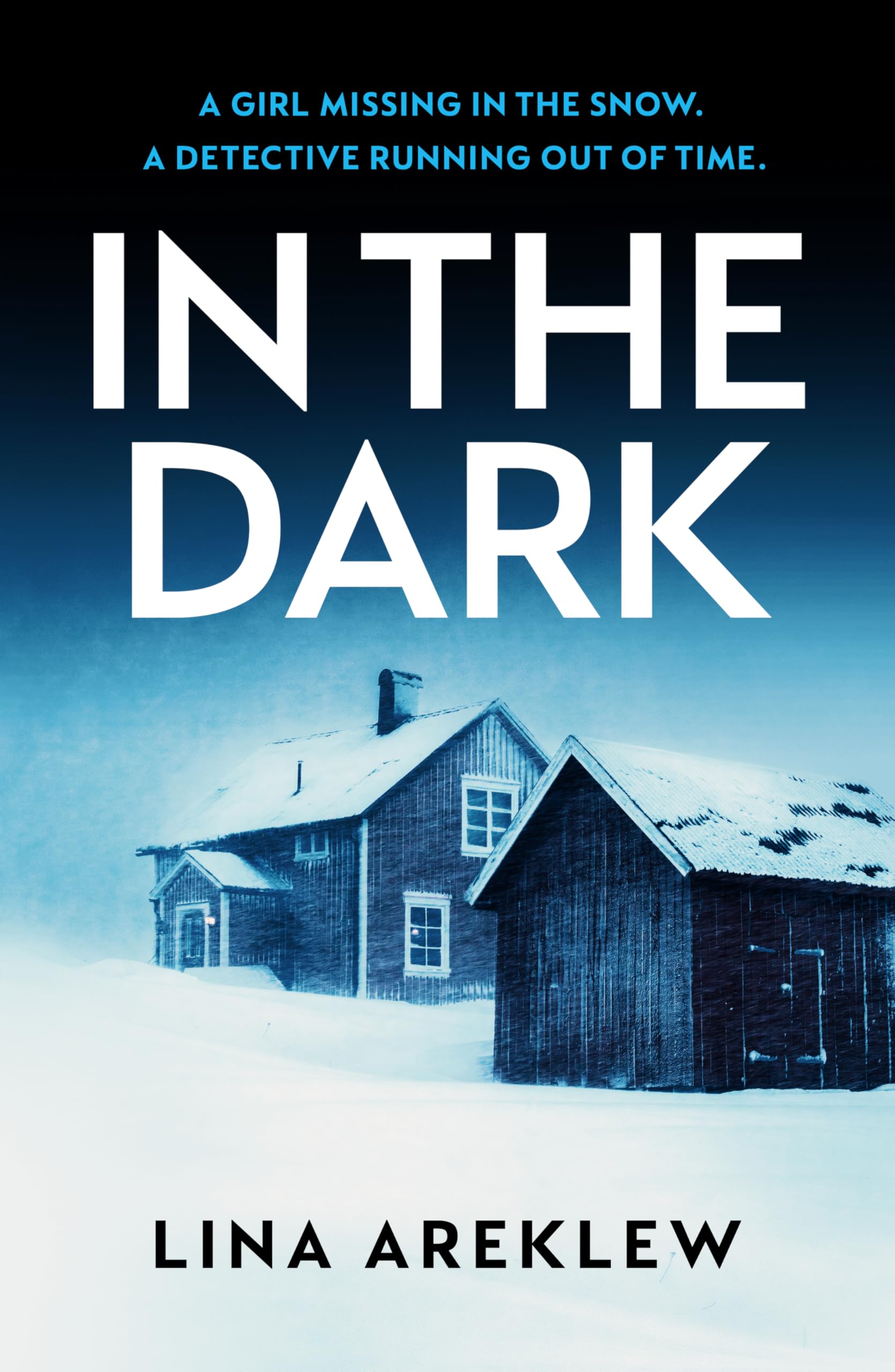 In the Dark: A gripping and atmospheric Scandi noir crime thriller for fans of Will Dean Death & Mourning