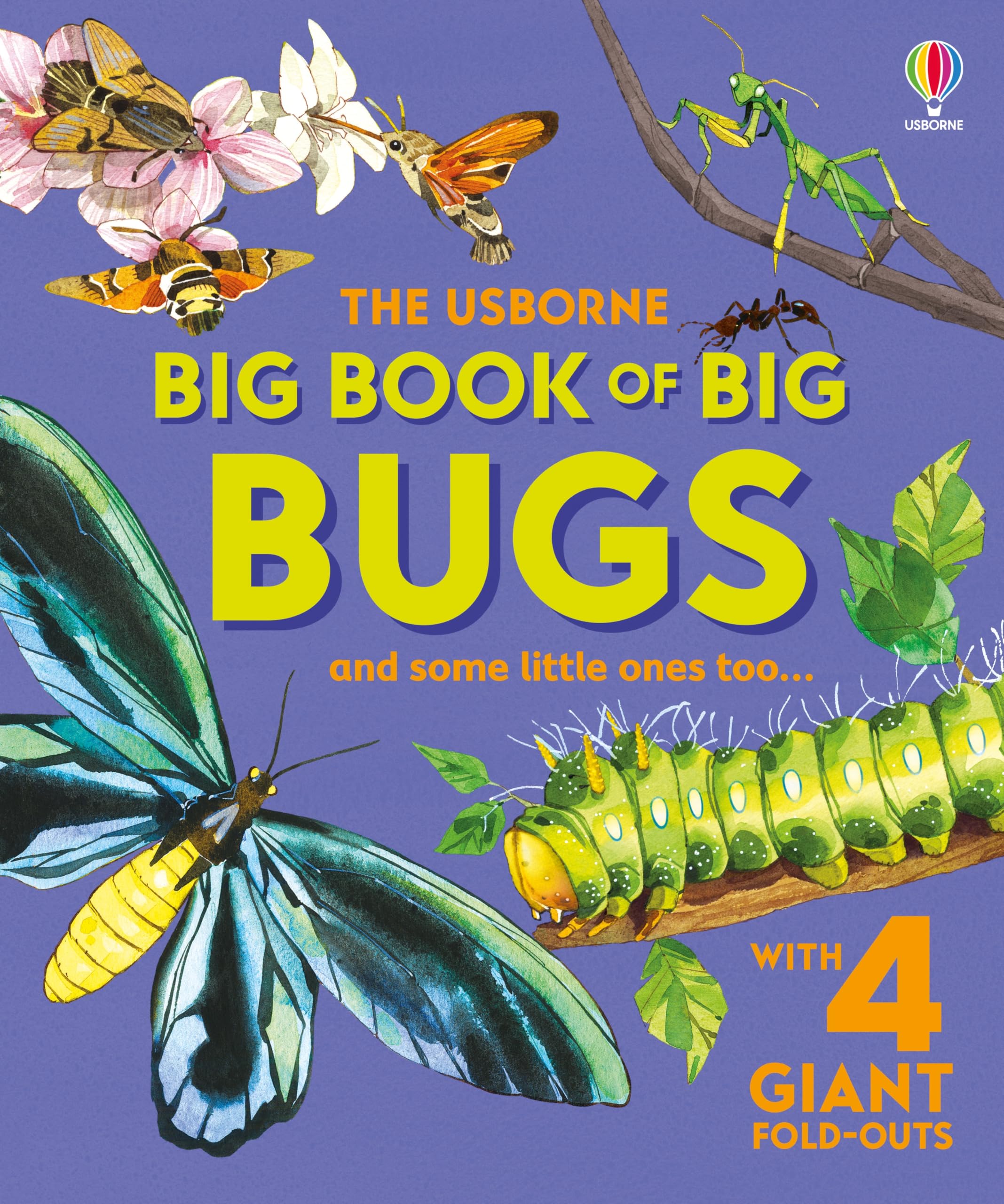 Big Book of Big Bugs (Big Books) Non-fiction