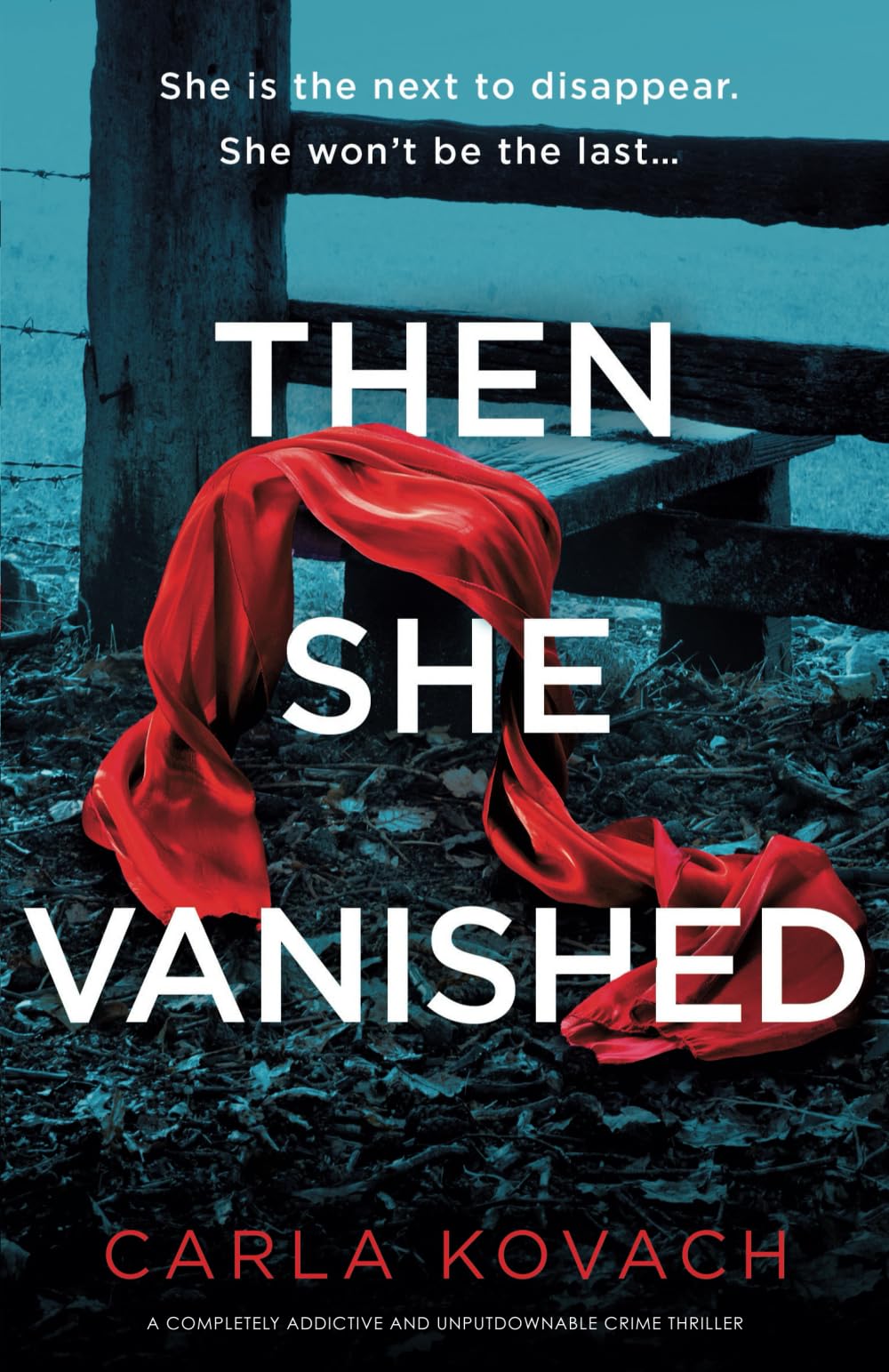 Then She Vanished: A completely addictive and unputdownable crime thriller book
