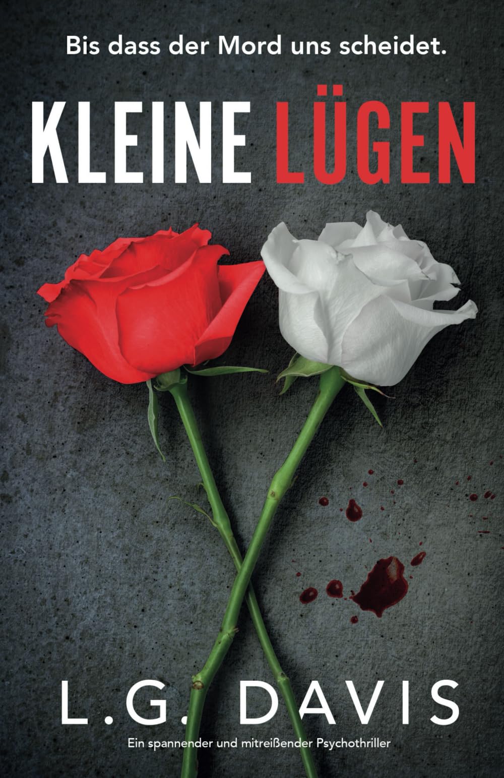Kleine Lügen: Ein spannender und mitreißender Psychothriller Action & Adventure