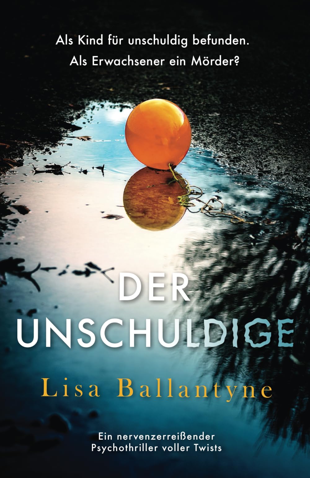 Der Unschuldige: Ein nervenzerreißender Psychothriller voller Twists Action & Adventure