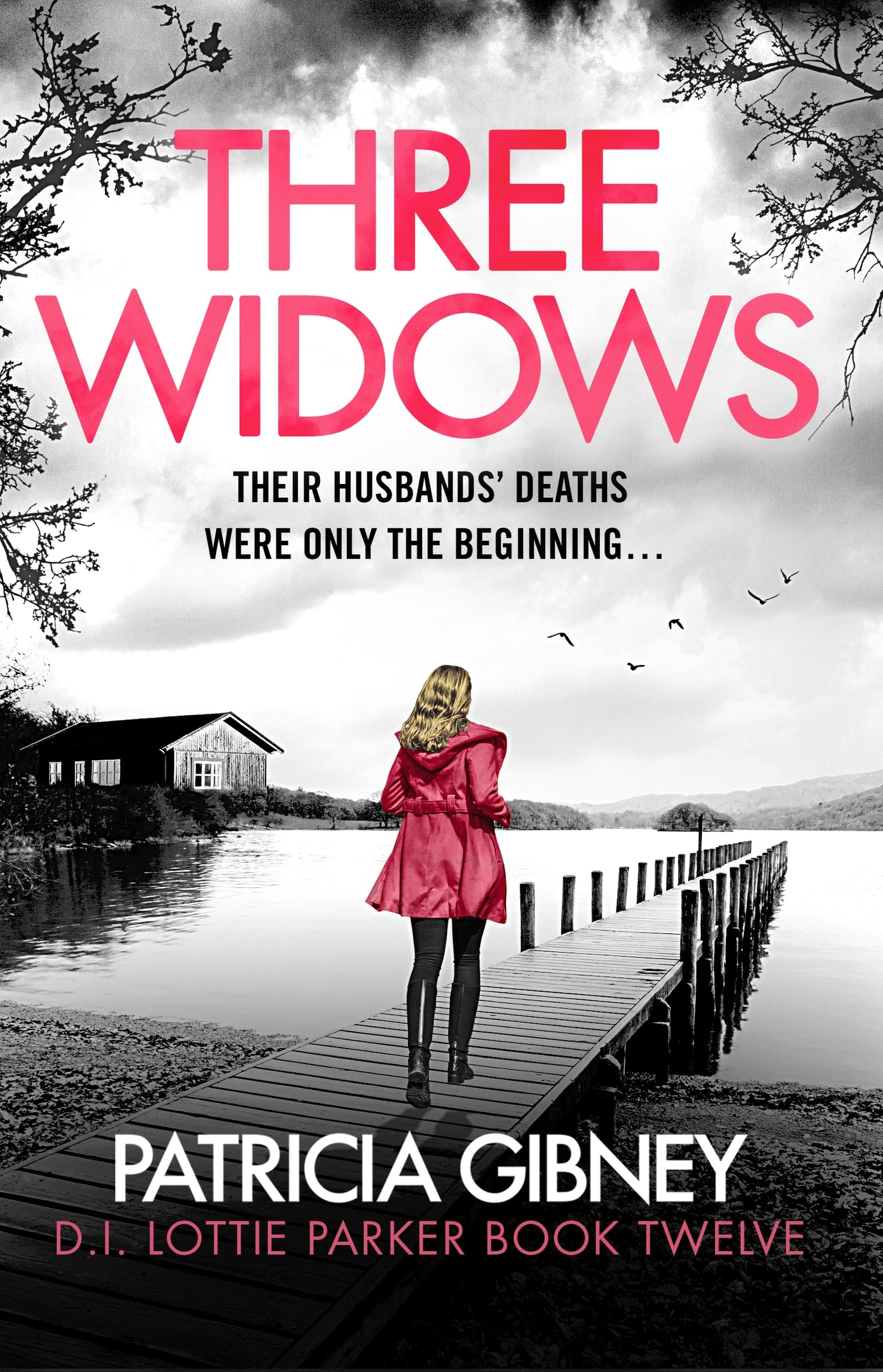 Three Widows: An unputdownable crime thriller with a jaw-dropping twist book