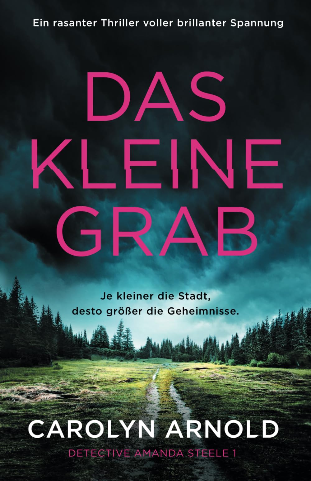 Das kleine Grab: Ein rasanter Thriller voller brillanter Spannung book
