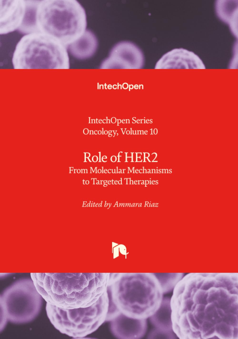 Role of HER2 - From Molecular Mechanisms to Targeted Therapies Medicine
