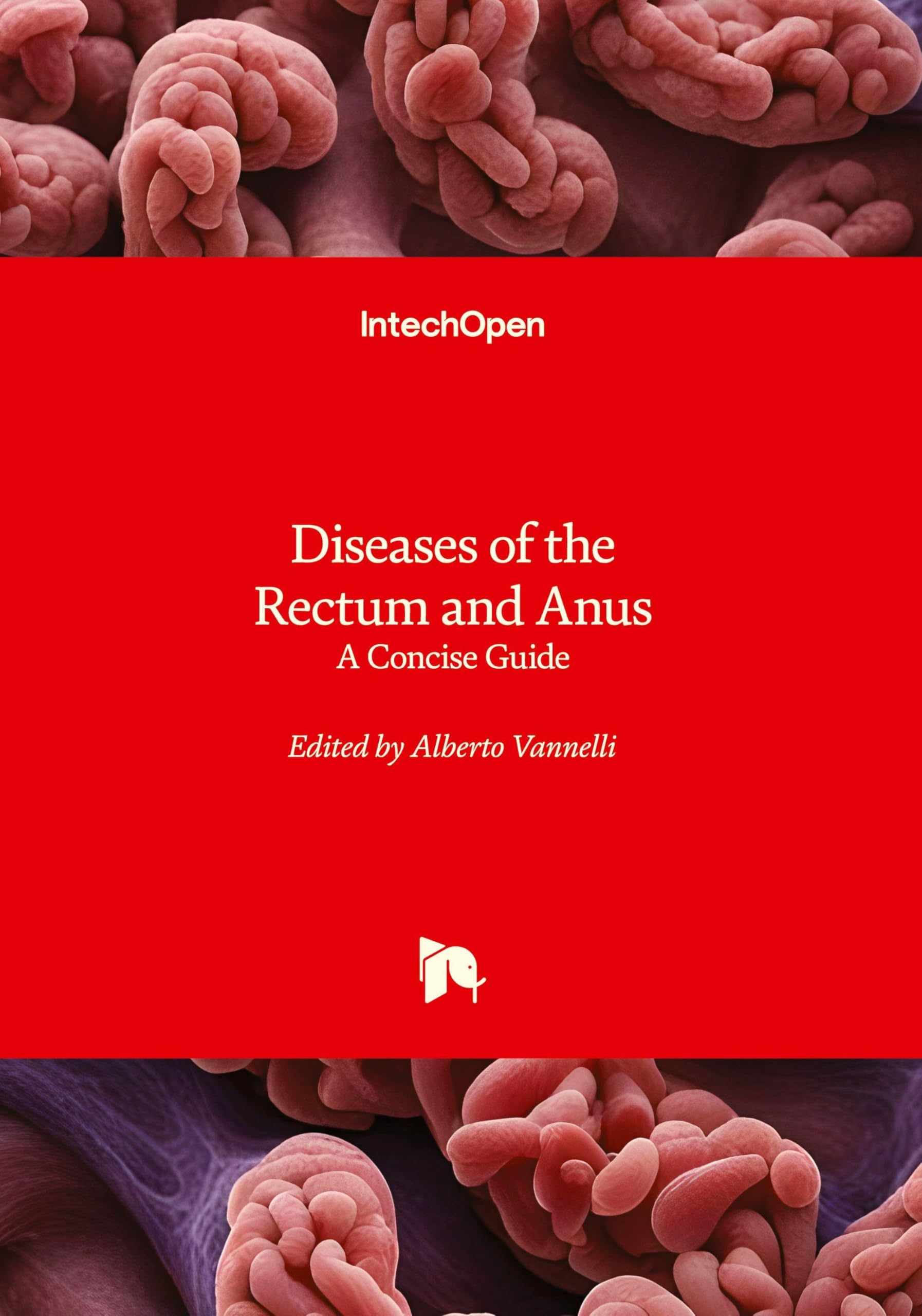 Diseases of the Rectum and Anus - A Concise Guide Medicine