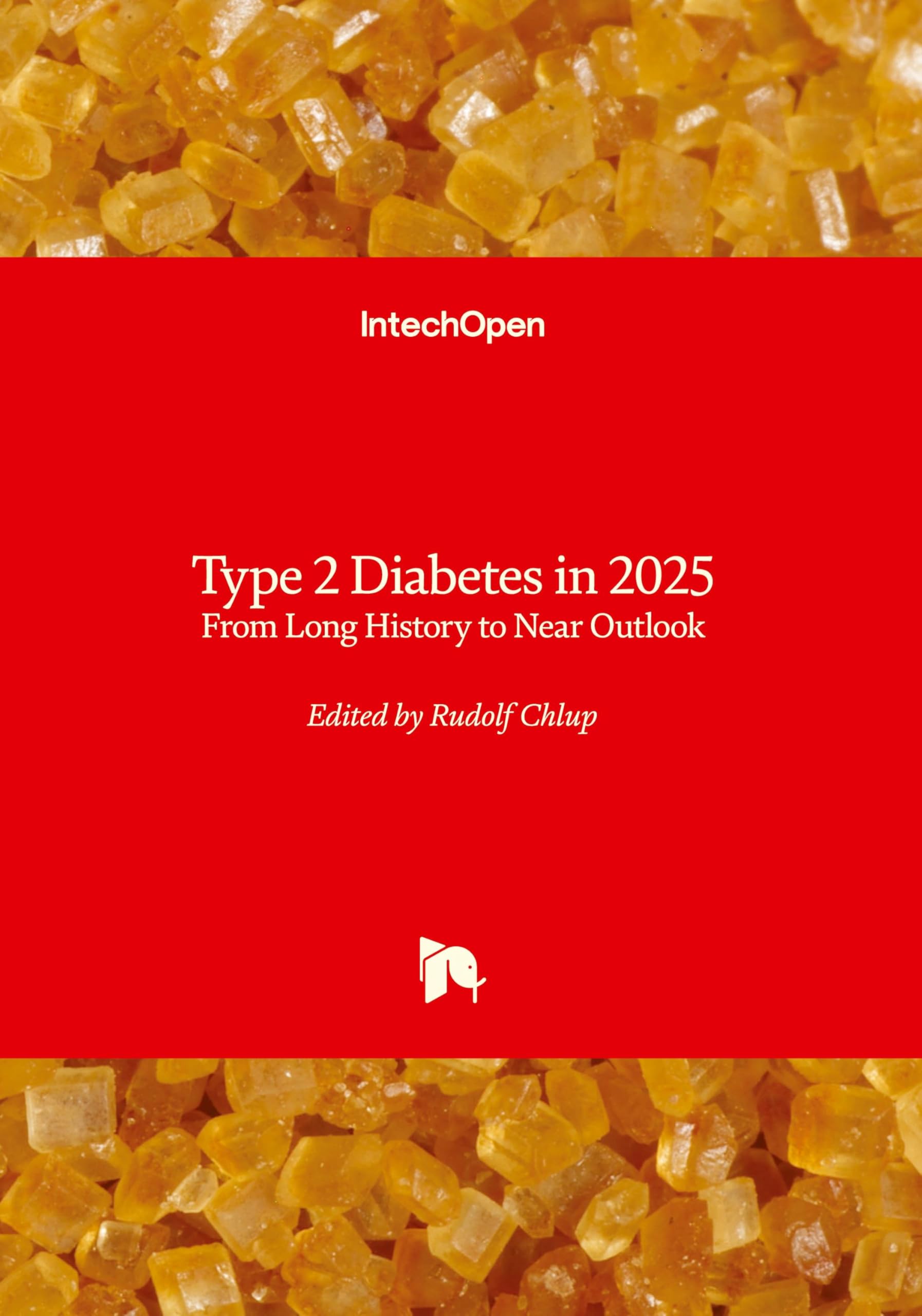 Type 2 Diabetes in 2025 - From Long History to Near Outlook Medicine