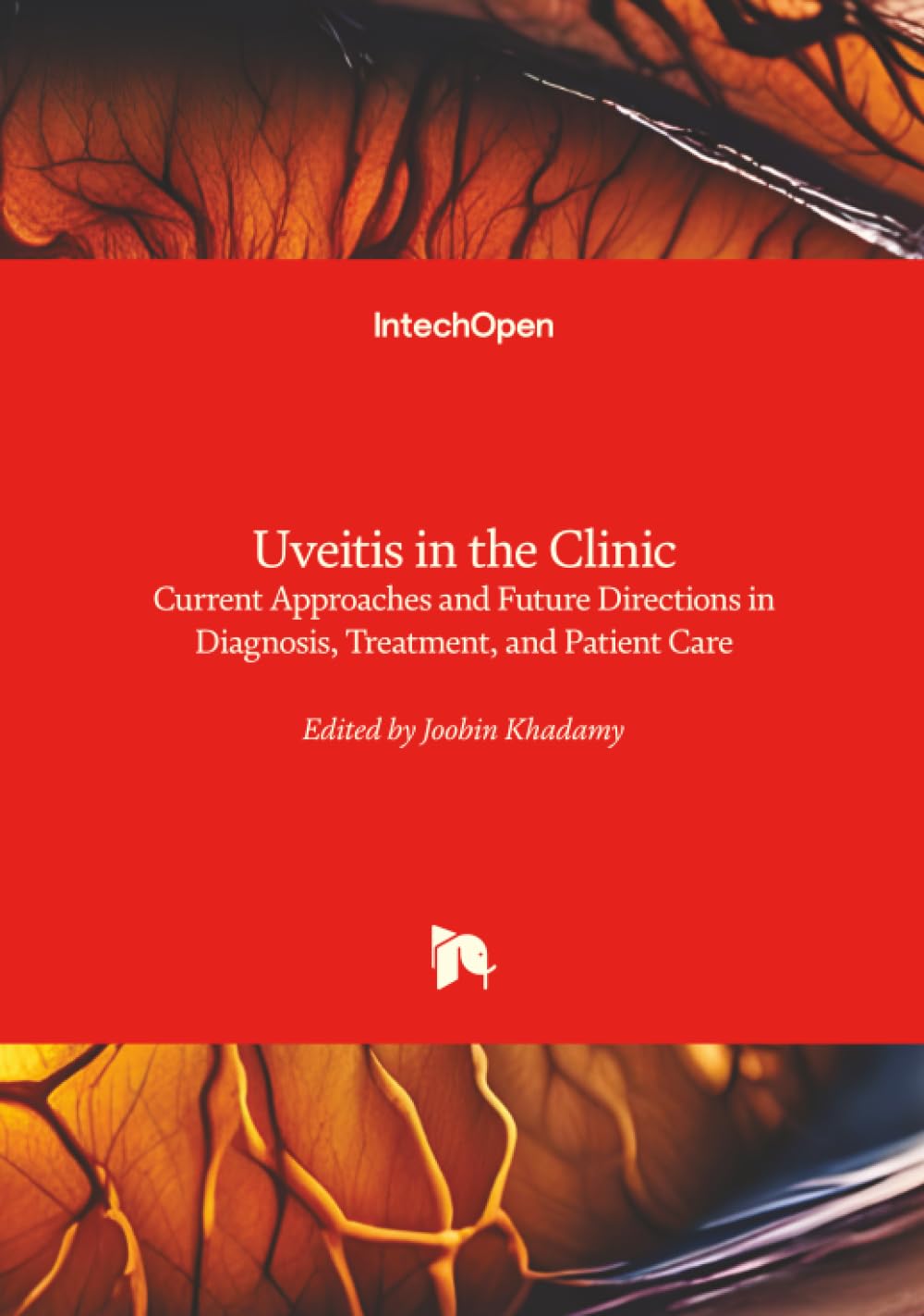 Uveitis in the Clinic - Current Approaches and Future Directions in Diagnosis, Treatment, and Patient Care Medicine