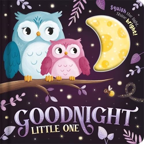 FSCM: Goodnight Little One (Squishy Lights) Non-fiction