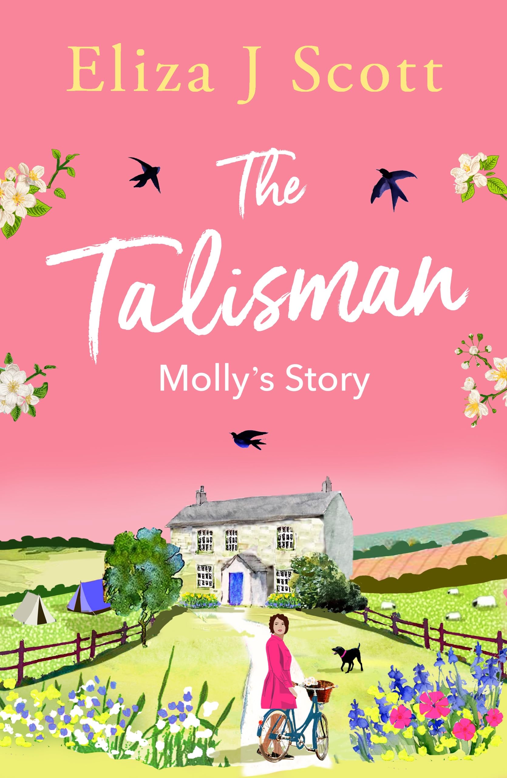 The Talisman - Molly's Story Contemporary literature