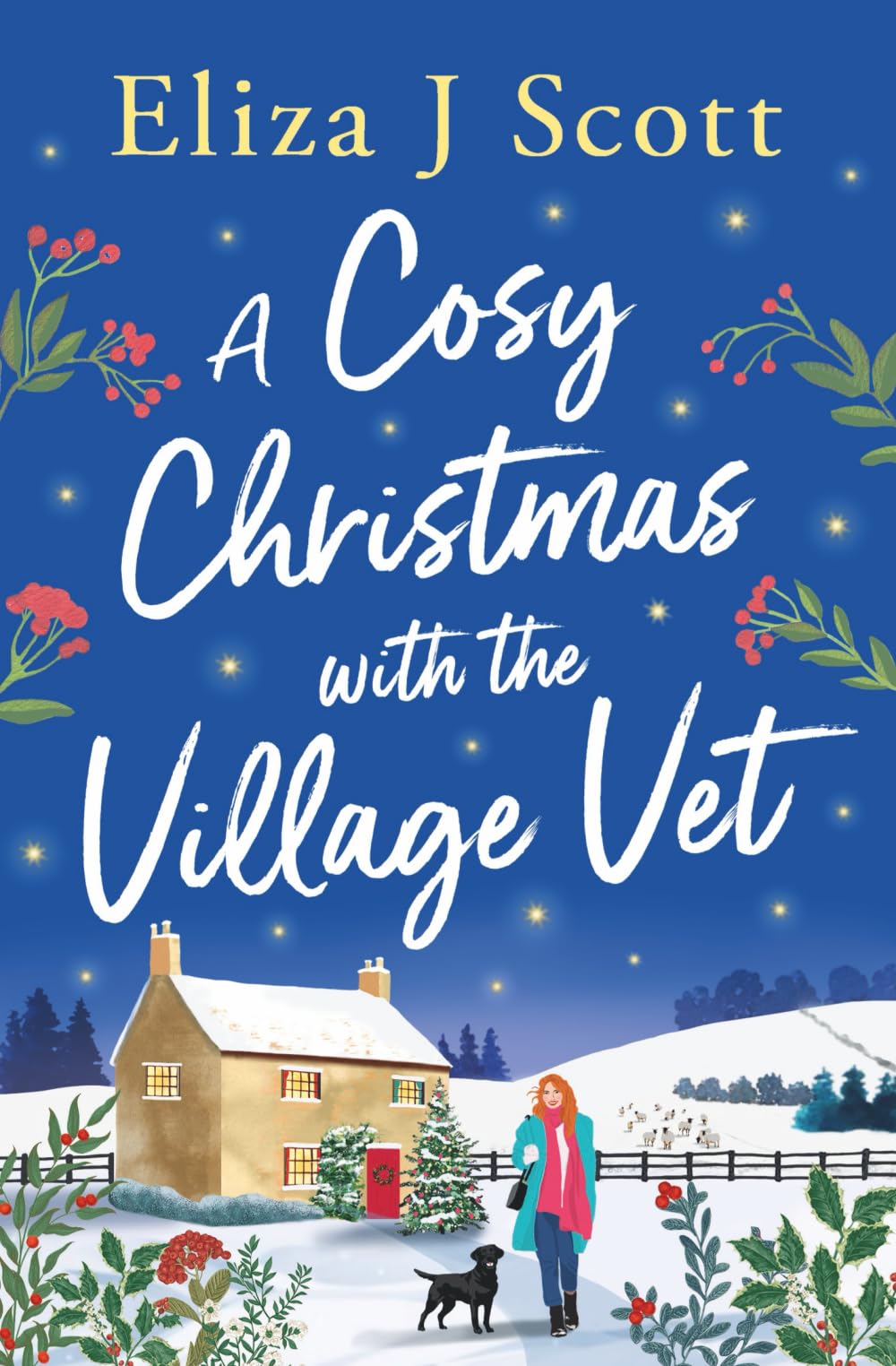 A Cosy Christmas with the Village Vet Contemporary literature
