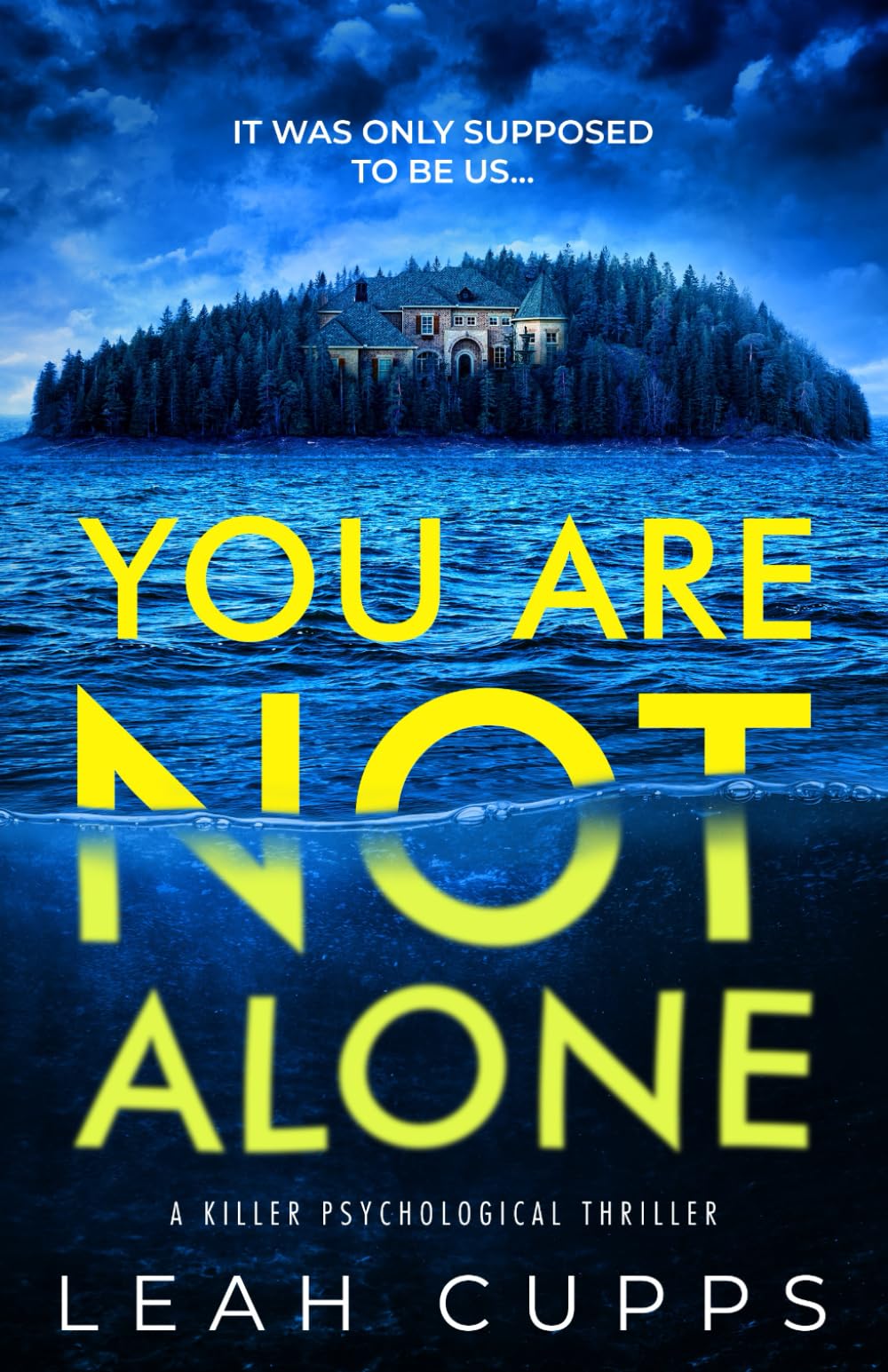 You Are Not Alone: a killer psychological thriller Action & Adventure