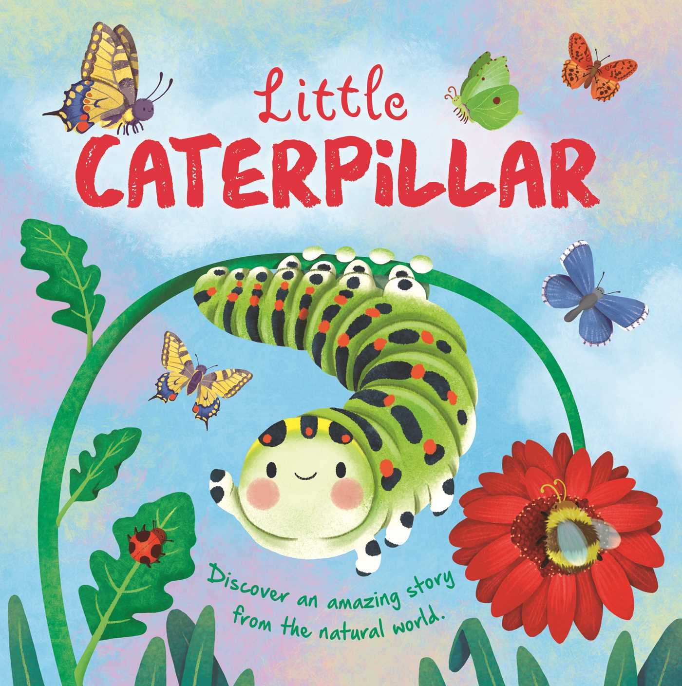 Little Caterpillar: Discover Amazing Story from the Natural World! Padded Board Book (Nature Stories) Non-fiction