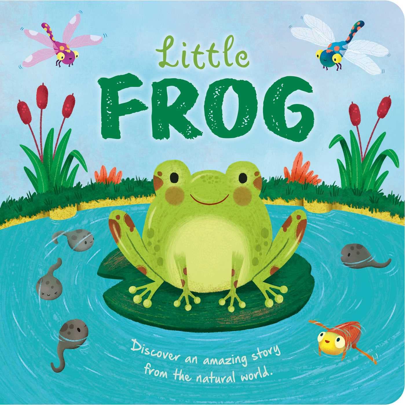 Little Frog: Padded Board Book (Nature Stories) Non-fiction