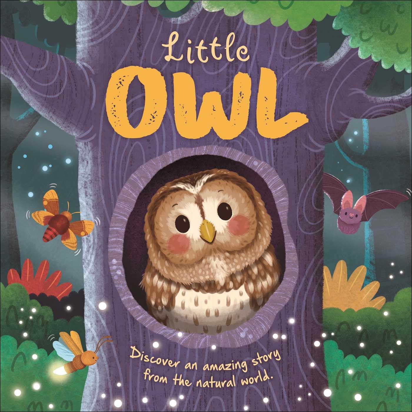 Little Owl: Discover an Amazing Story from the Natural World (Nature Stories) Non-fiction