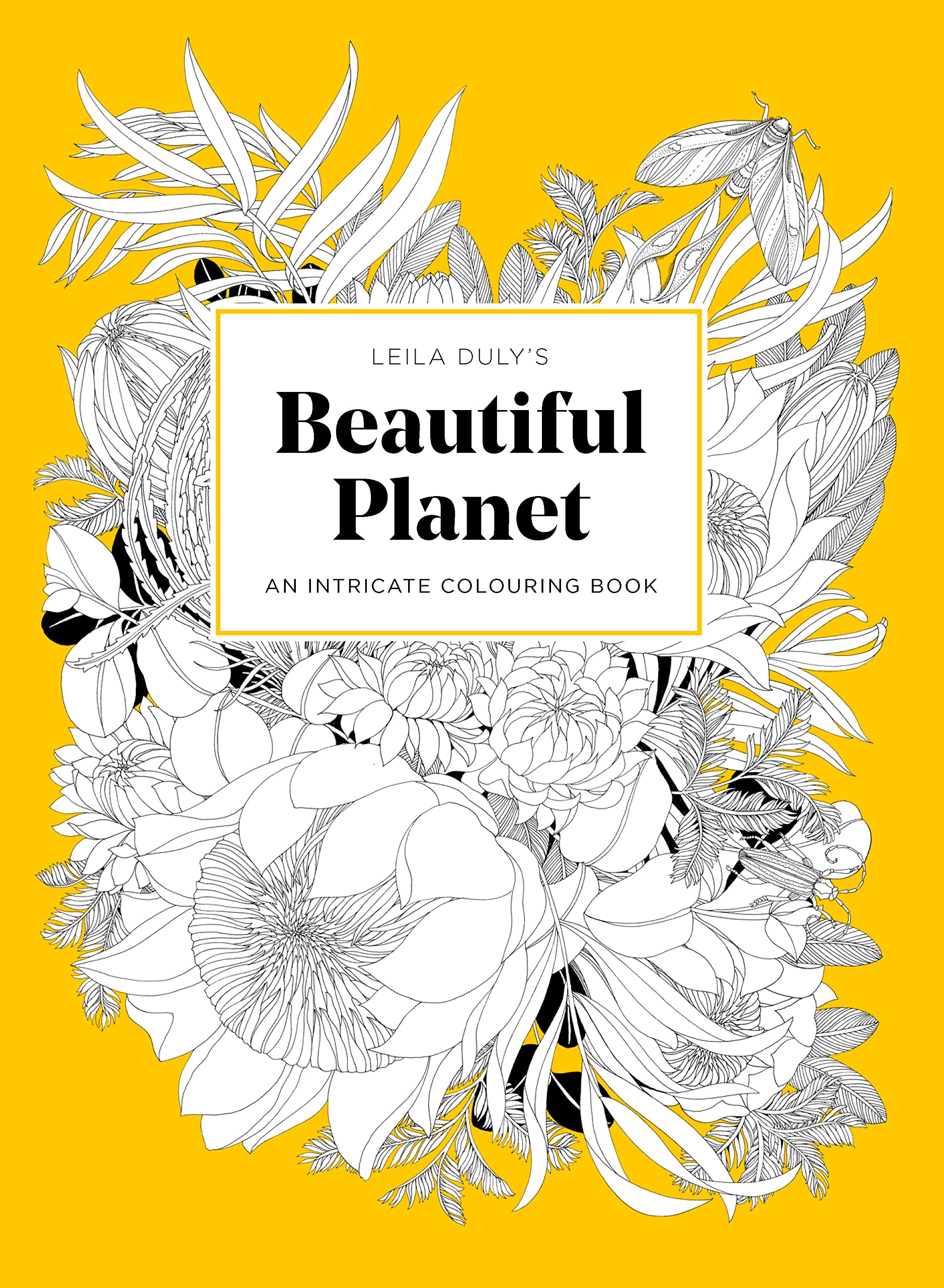 Leila Duly´s Beautiful Planet : An Intricate Colouring Book Arts & Music