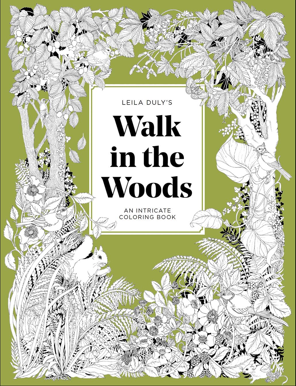 A Walk in the Woods: An Intricate Coloring Book Mathematics