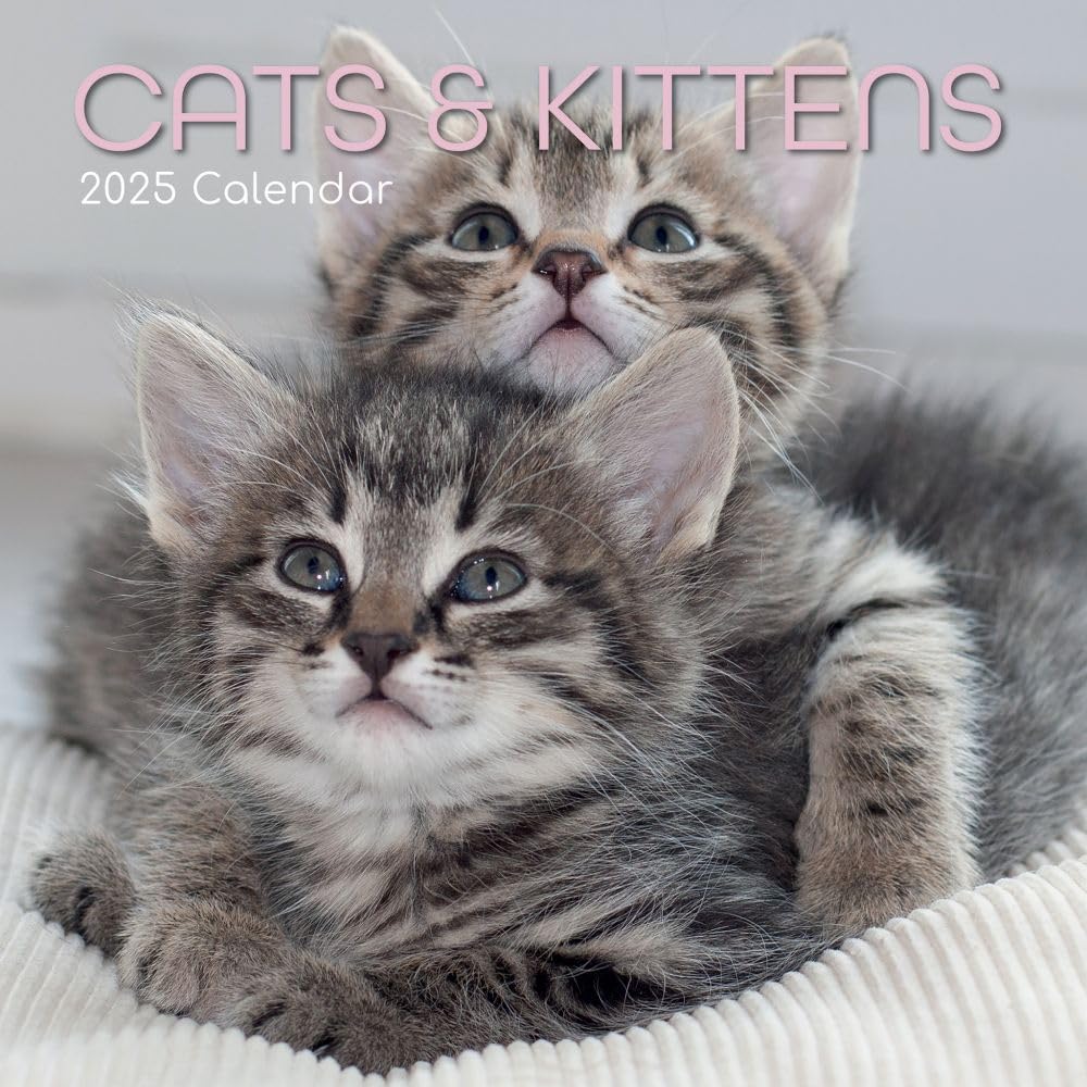 Cats and Kittens - Katzen und Kätzchen 2025 - 16-Monatskalender: Original Gifted Stationery-Kalender book