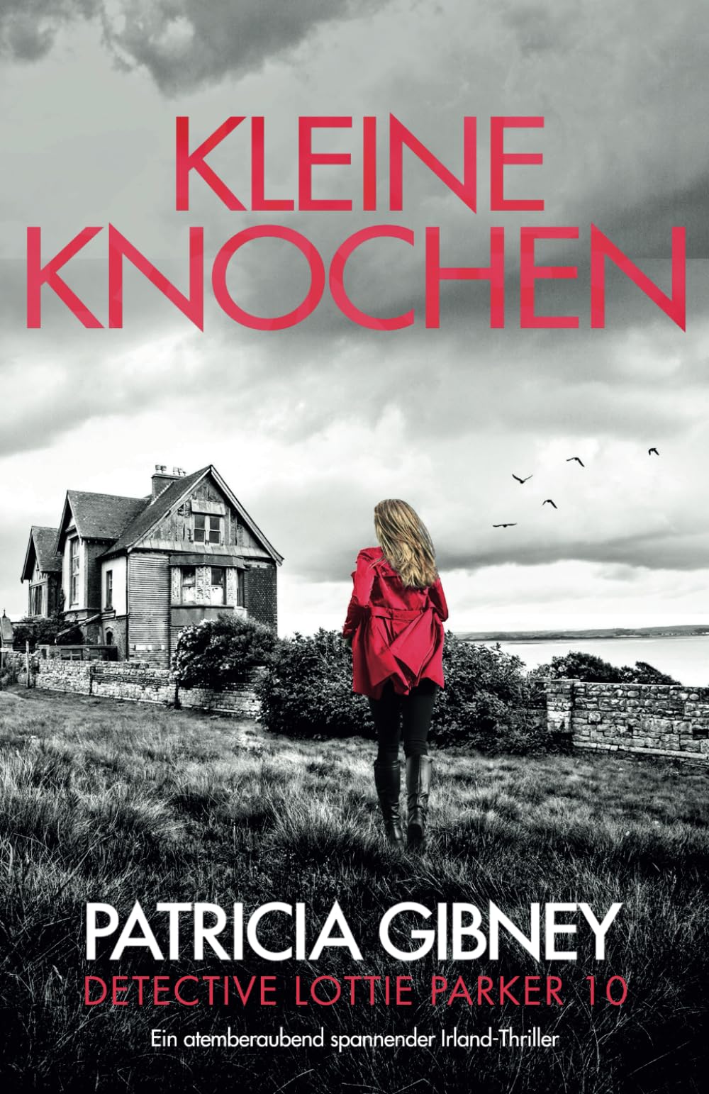 Kleine Knochen: Ein atemberaubend spannender Irland-Thriller (Detective Lottie Parker, Band 10) Action & Adventure