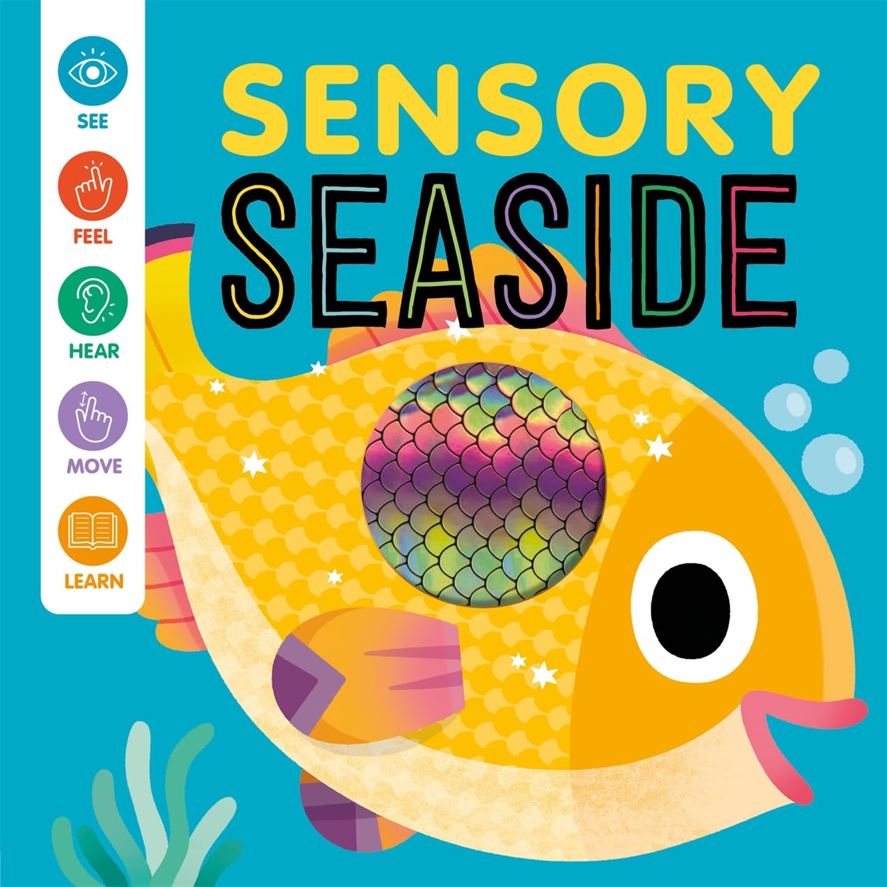 Sensory Seaside (Baby Sensory Book) Non-fiction
