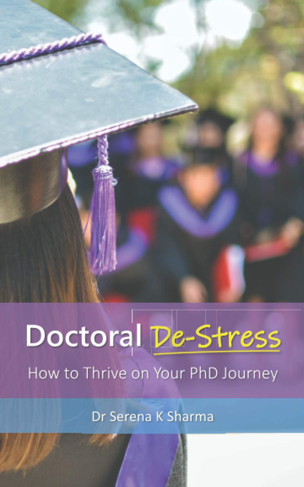 Doctoral De-Stress: How to Thrive on Your PhD Journey Business, Finance & Career