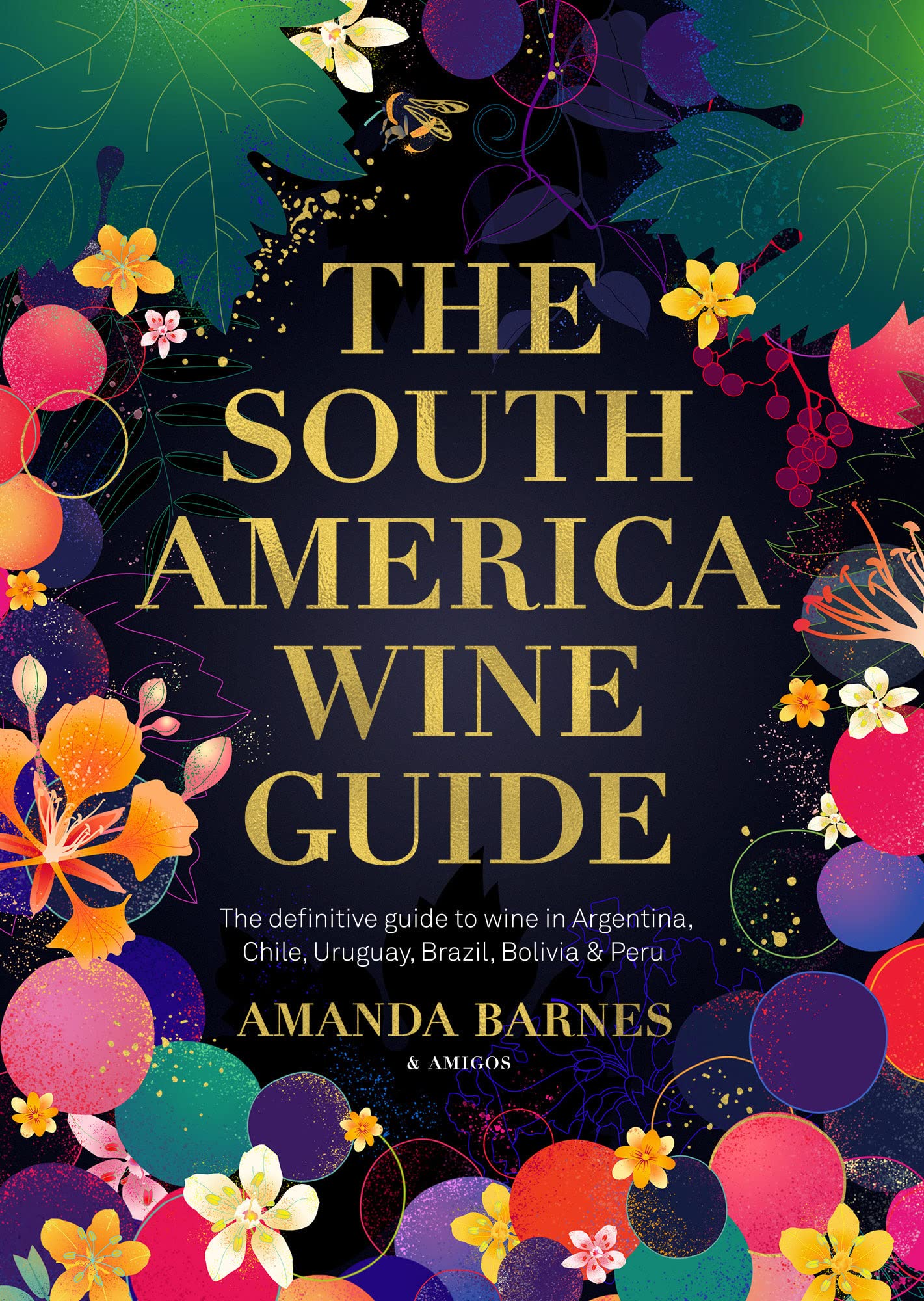 The South America Wine Guide: The definitive guide to wine in Argentina, Chile, Uruguay, Brazil, Bolivia & Peru Travel