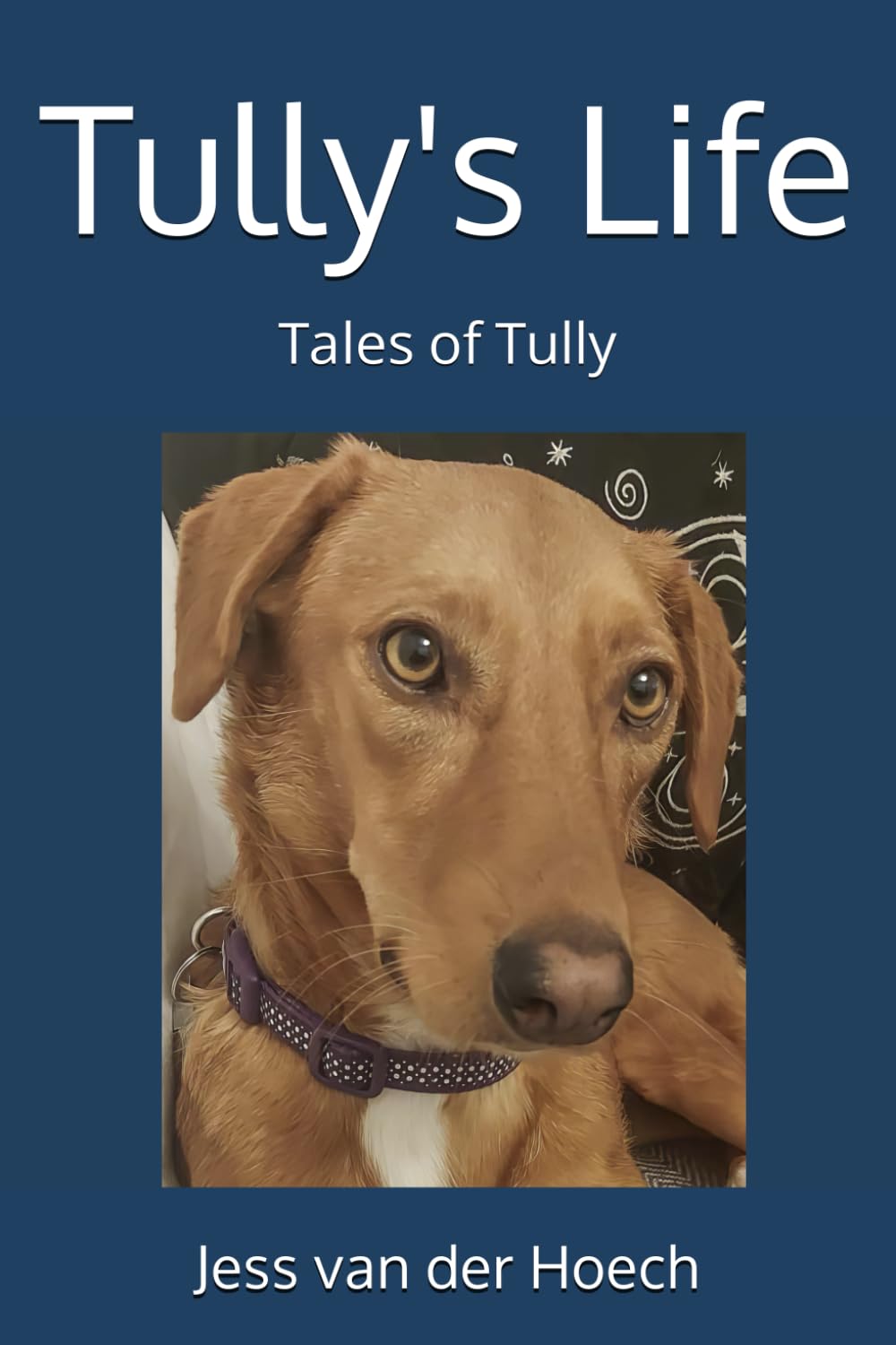 Tully's Life (Tales of Tully, Band 1) Parents & Children