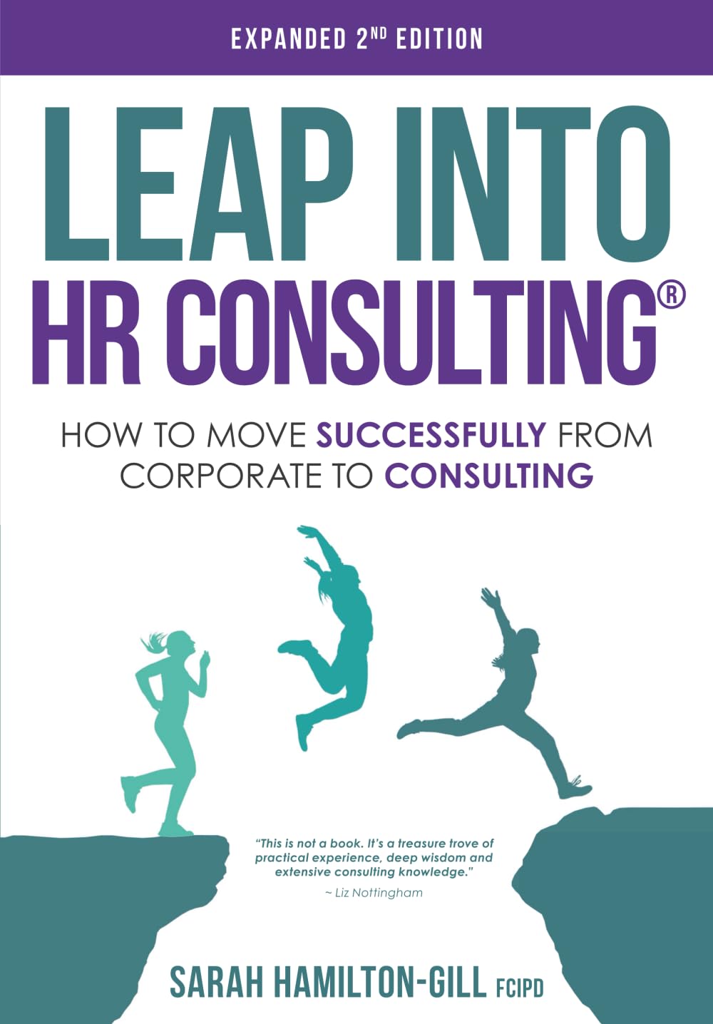 Leap into HR Consulting 2nd Ed. Law