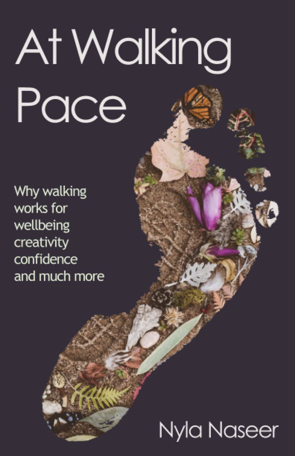 At Walking Pace: A short journey through the wonder of walking Mathematics