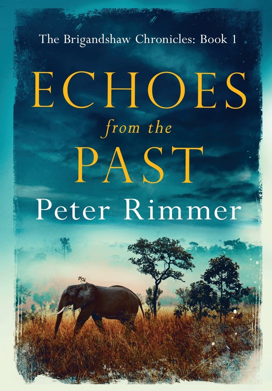 Echoes from the Past (Brigandshaw Chronicles, Band 1) Contemporary literature