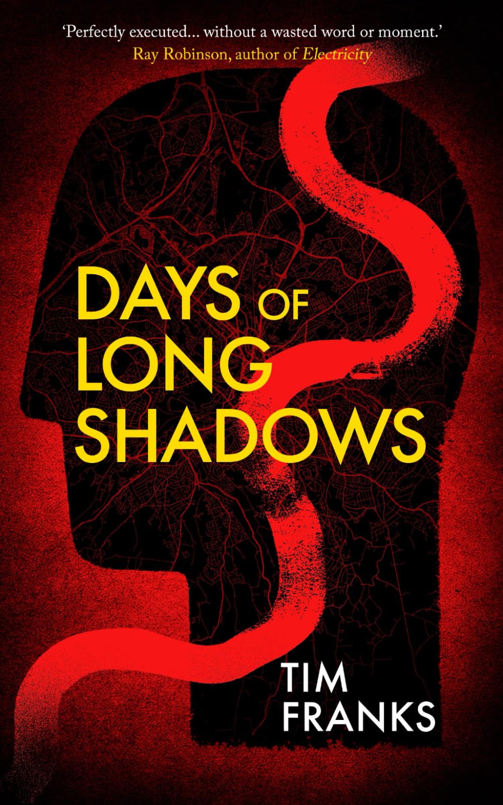 Days of Long Shadows: A unique and unputdownable gritty Northern crime thriller Action & Adventure