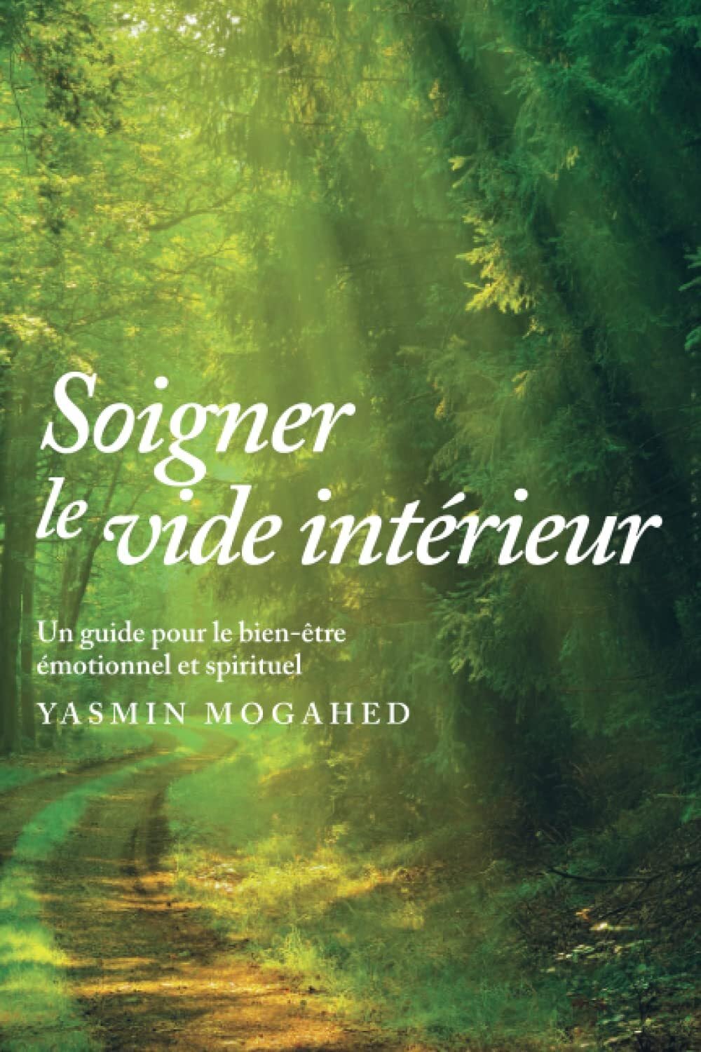 Soigner le vide intérieur: Guide pour un bien-être spirituel et émotionnel Religion & Esotericism