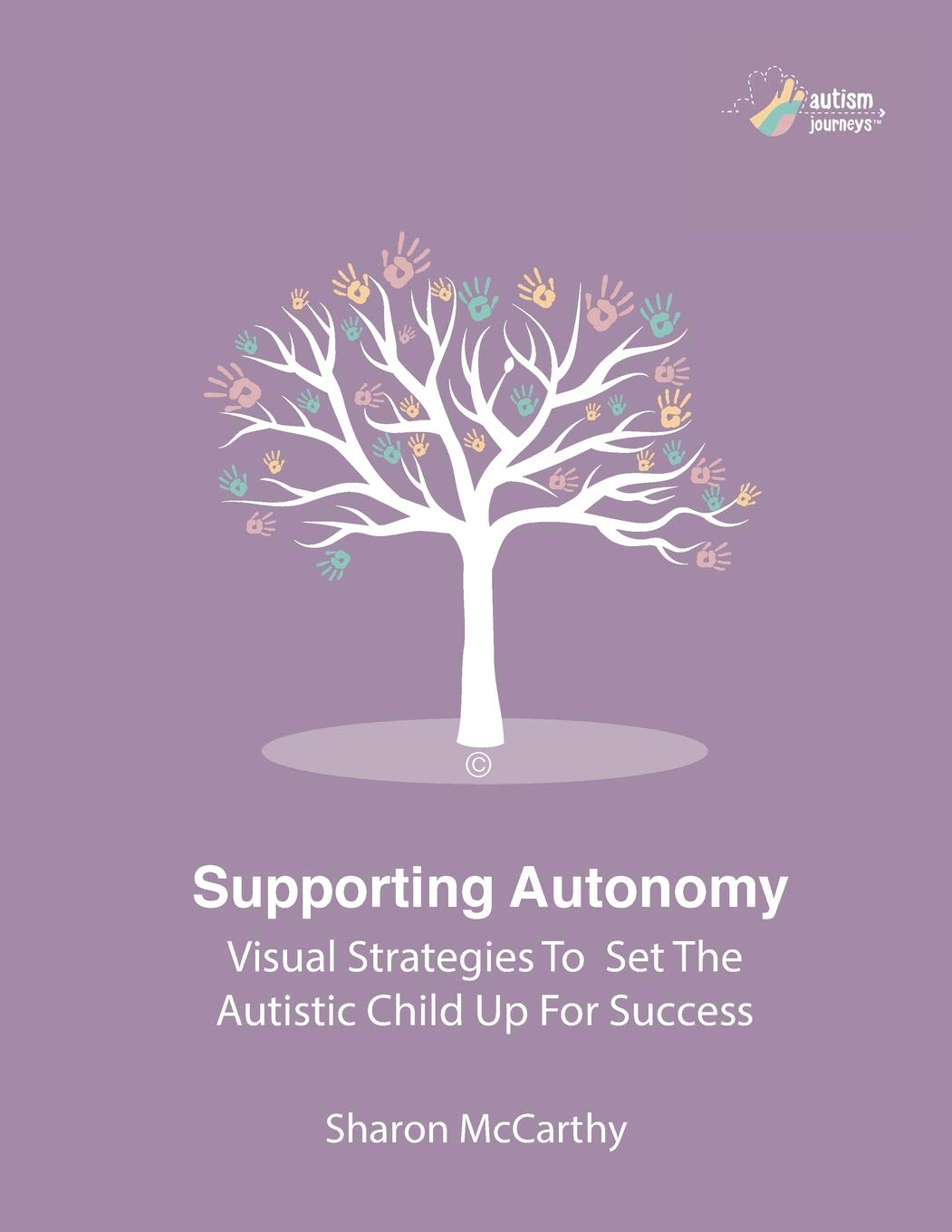 SUPPORTING AUTONOMY: Visual strategies to set the autistic child up for success Medicine