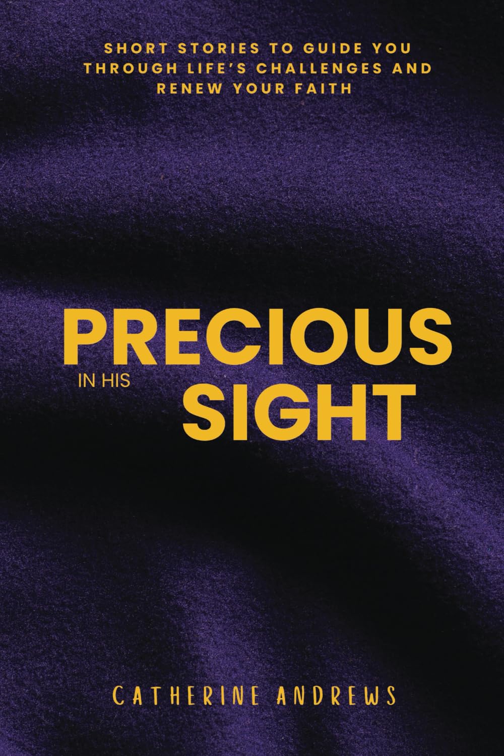 Precious in His Sight: Short Stories to Guide You Through Life’s Challenges and Renew Your Faith Self-help
