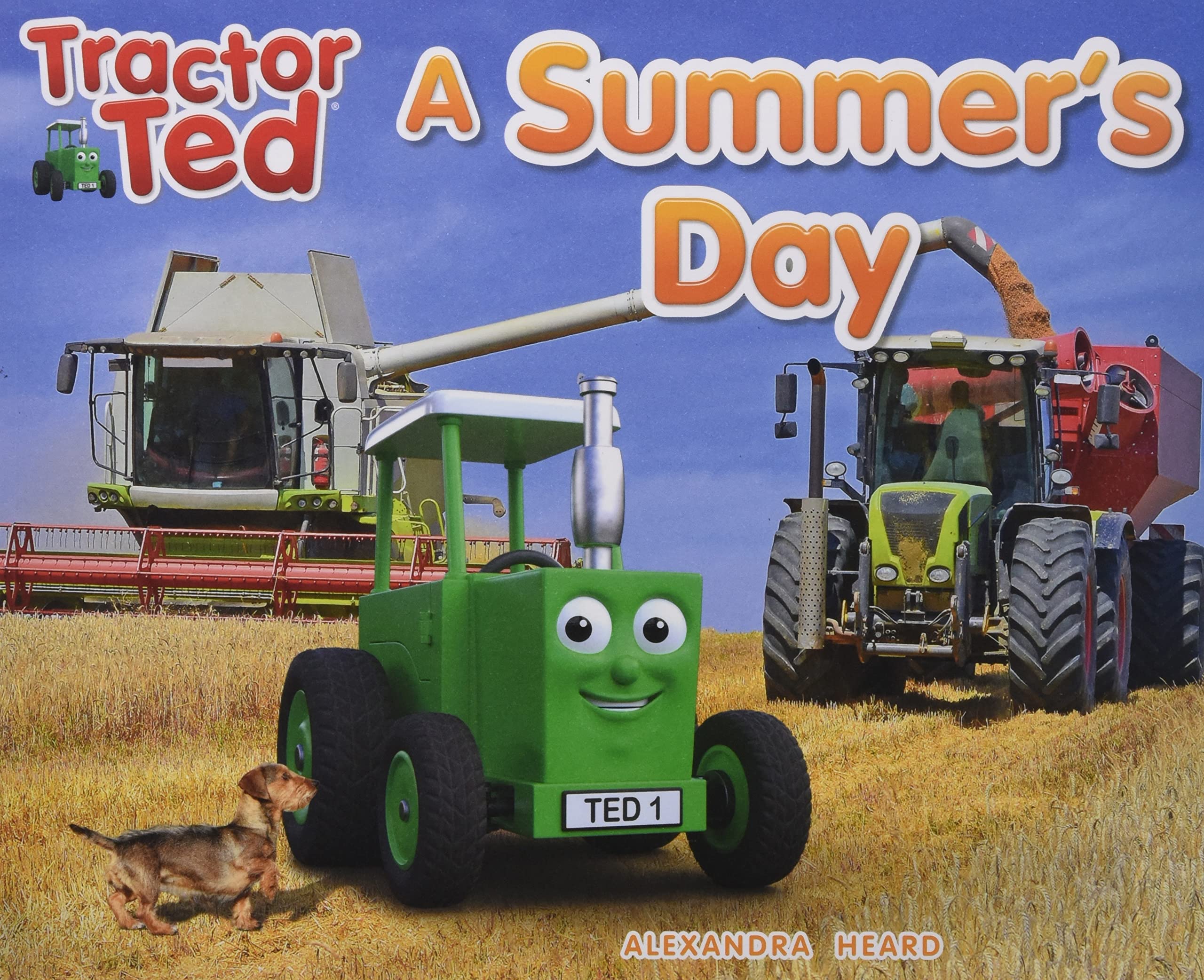 Tractor Ted A Summer's Day: Explore the farm in Summer with Tractor Ted (Tractor Ted Seasons, Band 2) Novels & Short Stories