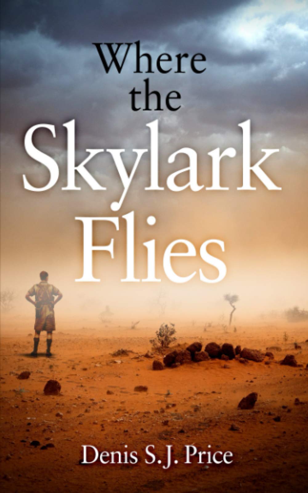 Where the Skylark Flies: A Cornishman in a forgotten war (based on true events) book