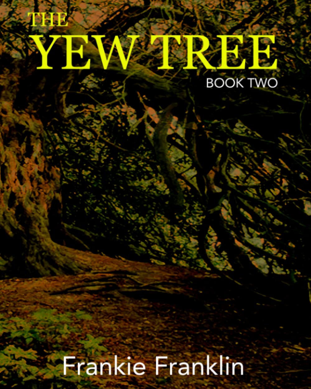 The Yew Tree: Book 2 (The Yew Tree Books, Band 2) Historical Fiction