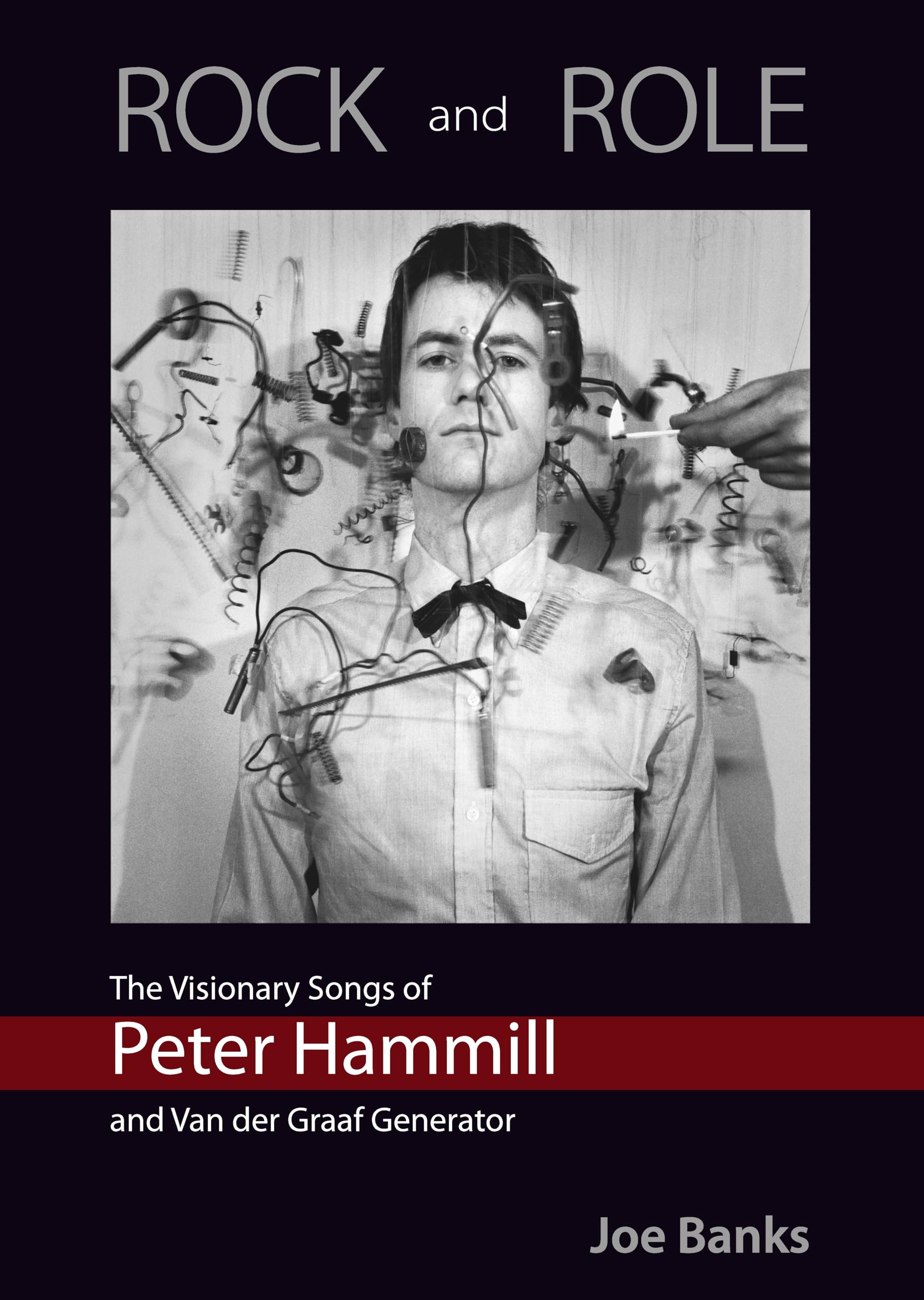 ROCK and ROLE: The Visionary Songs of Peter Hammill and Van der Graaf Generator Social Sciences