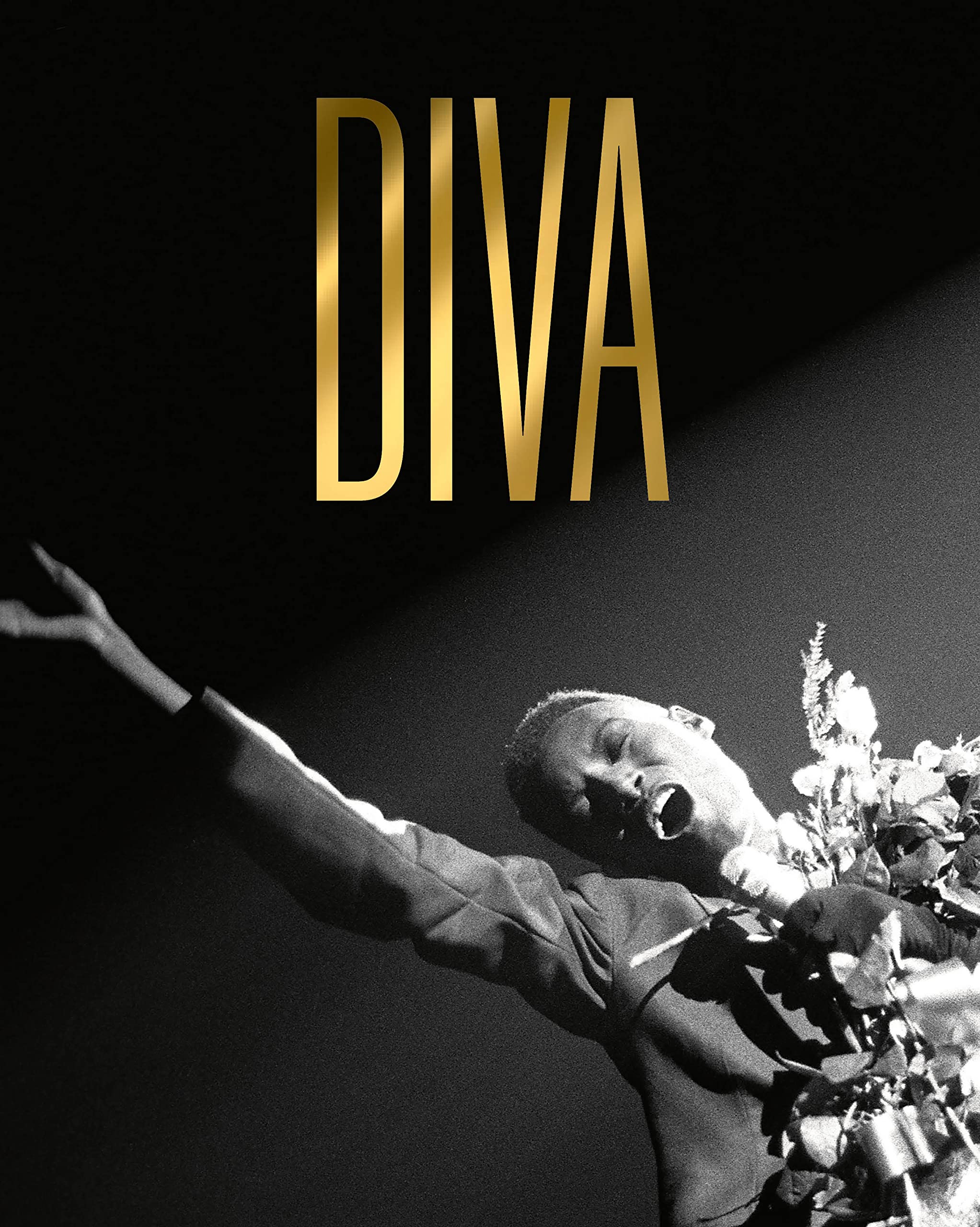 Diva Books