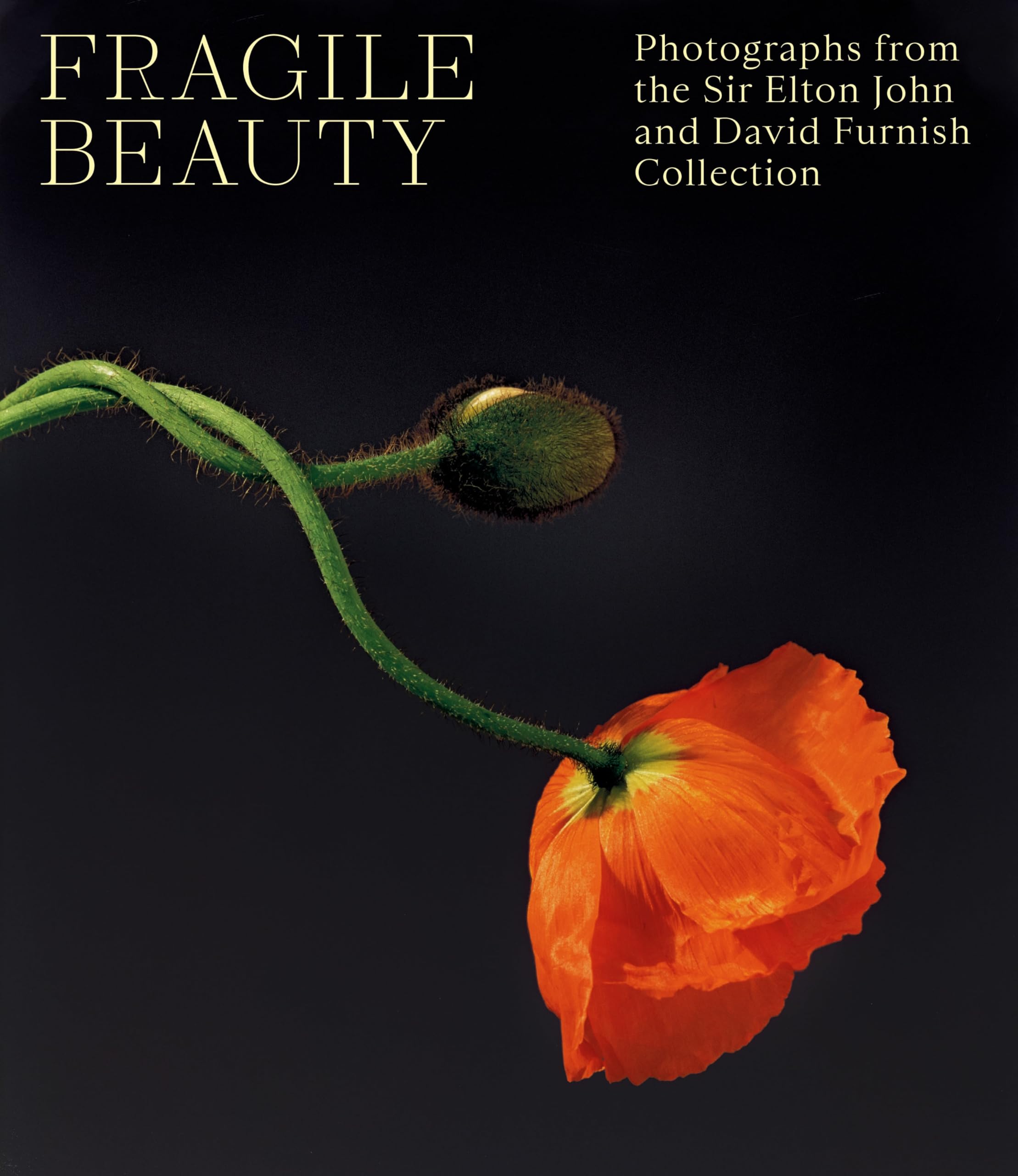 Fragile Beauty: Photographs from the Sir Elton John and David Furnish Collection (the Official V&A Exhibition Book) Books