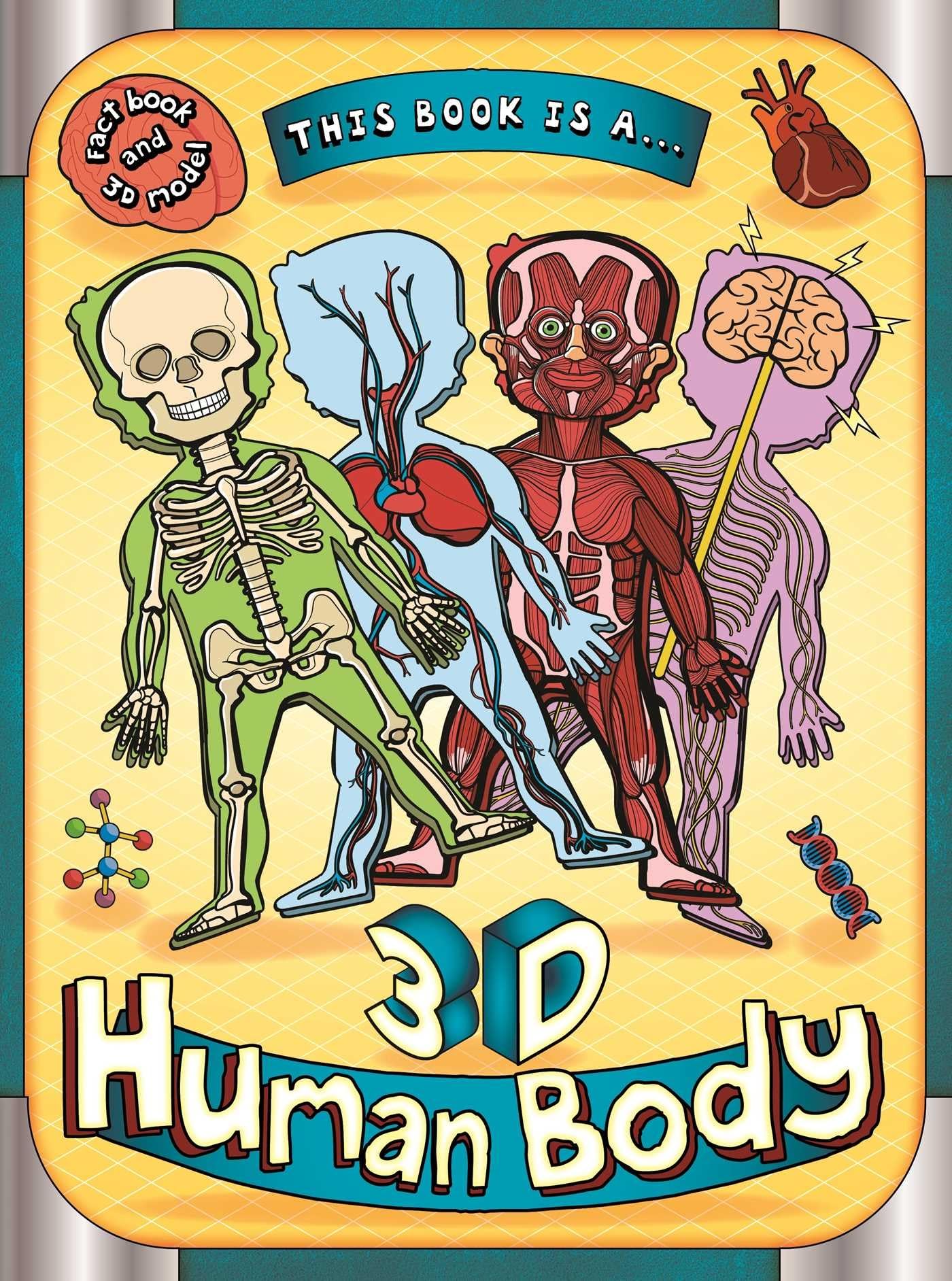 This Book Is A . . . 3D Human Body: Fact Book and 3d Model Non-fiction