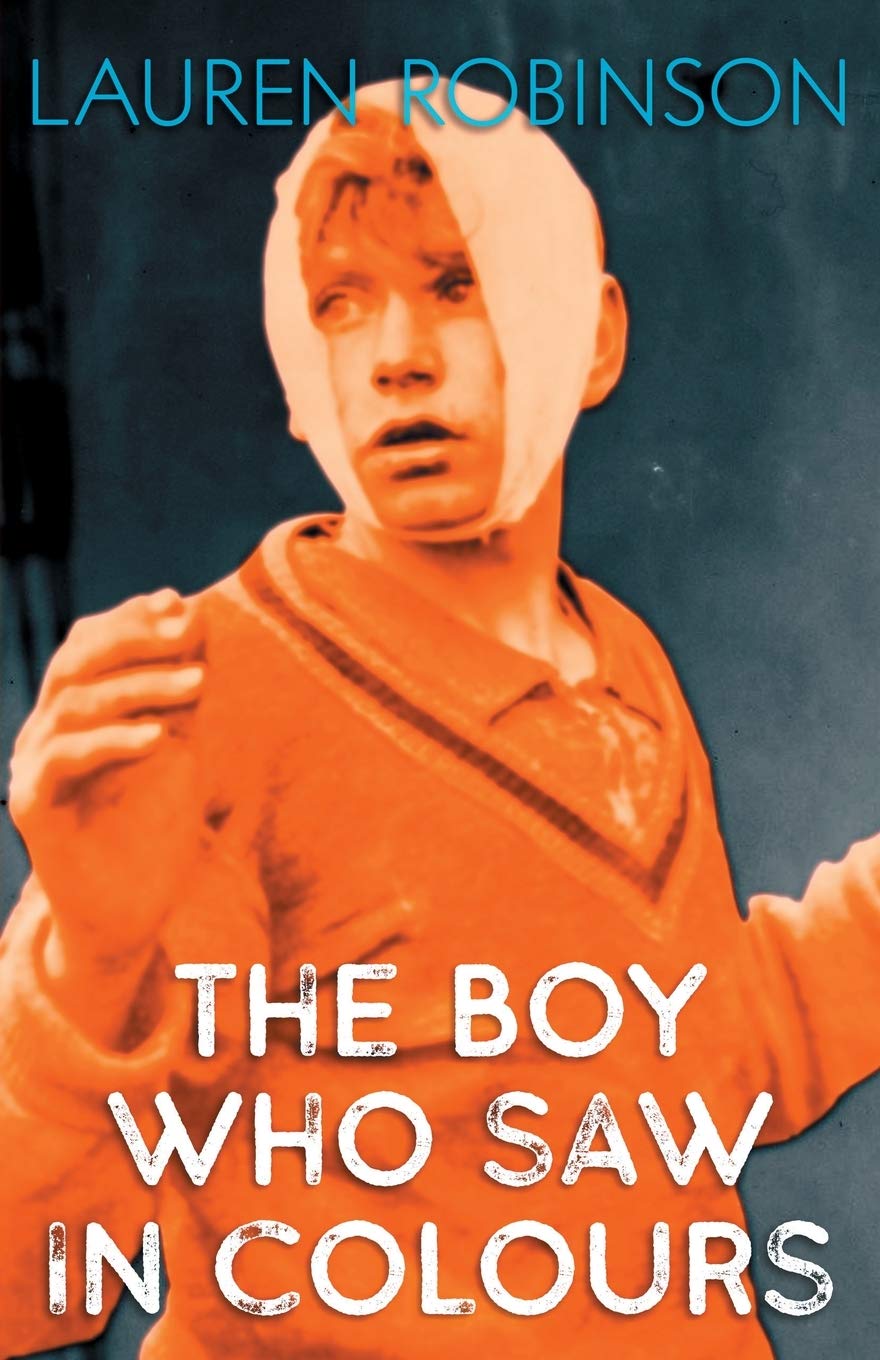 The Boy Who Saw In Colours book