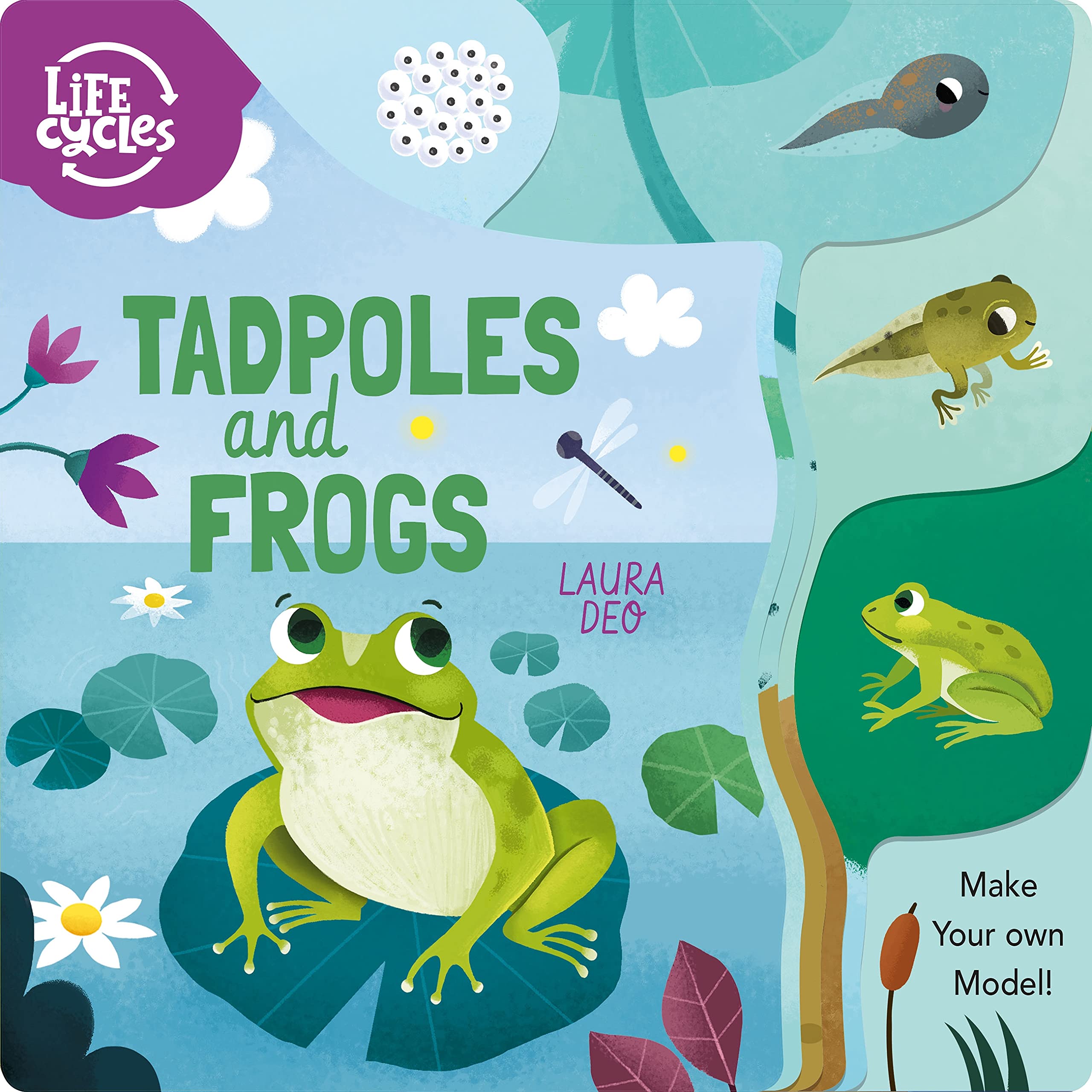 Tadpoles and Frogs: Make Your Own Model! (Life Cycles) Tiptoi & Games