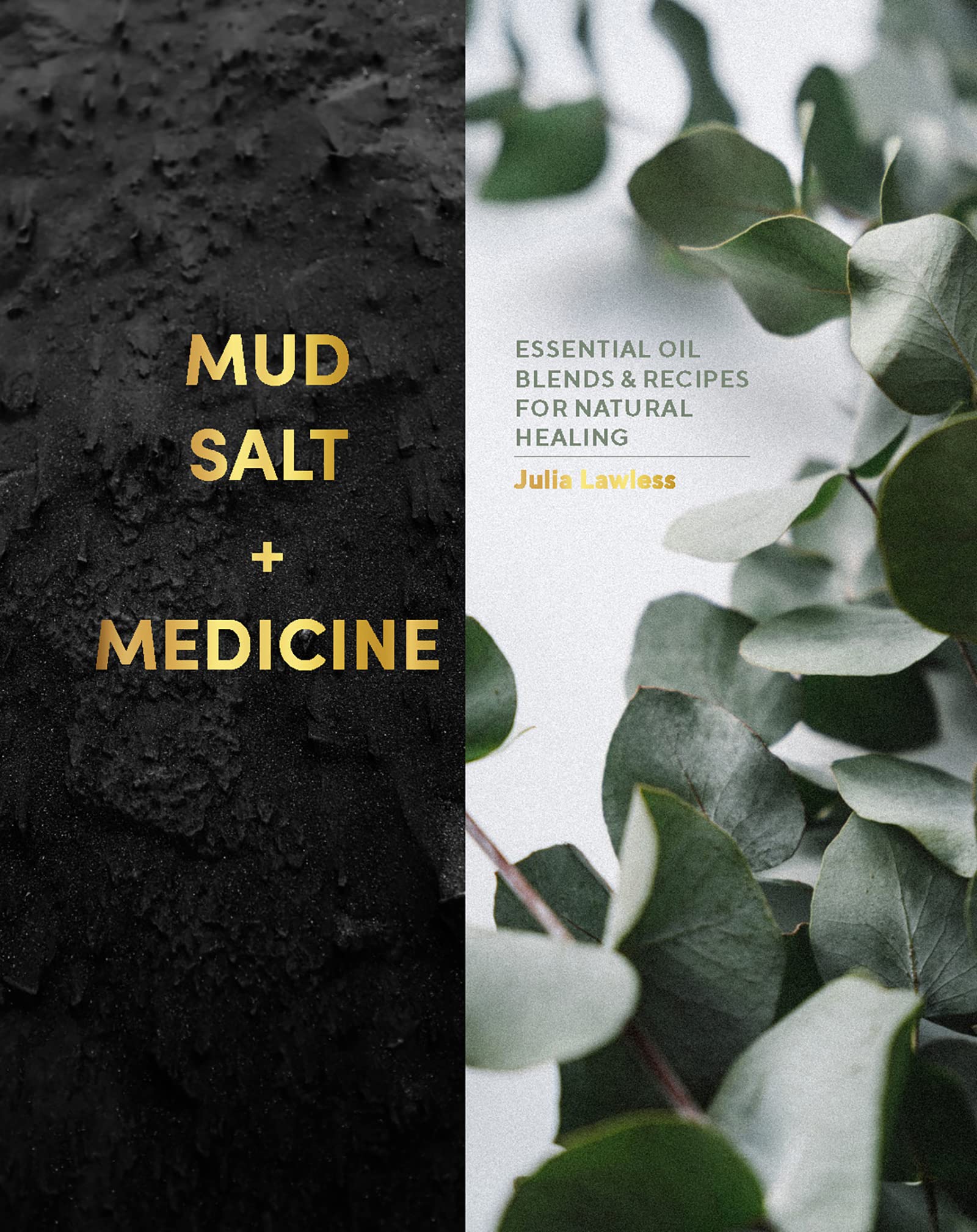Mud, Salt and Medicine: Essential Oil Blends and Recipes for Natural Healing Medicine