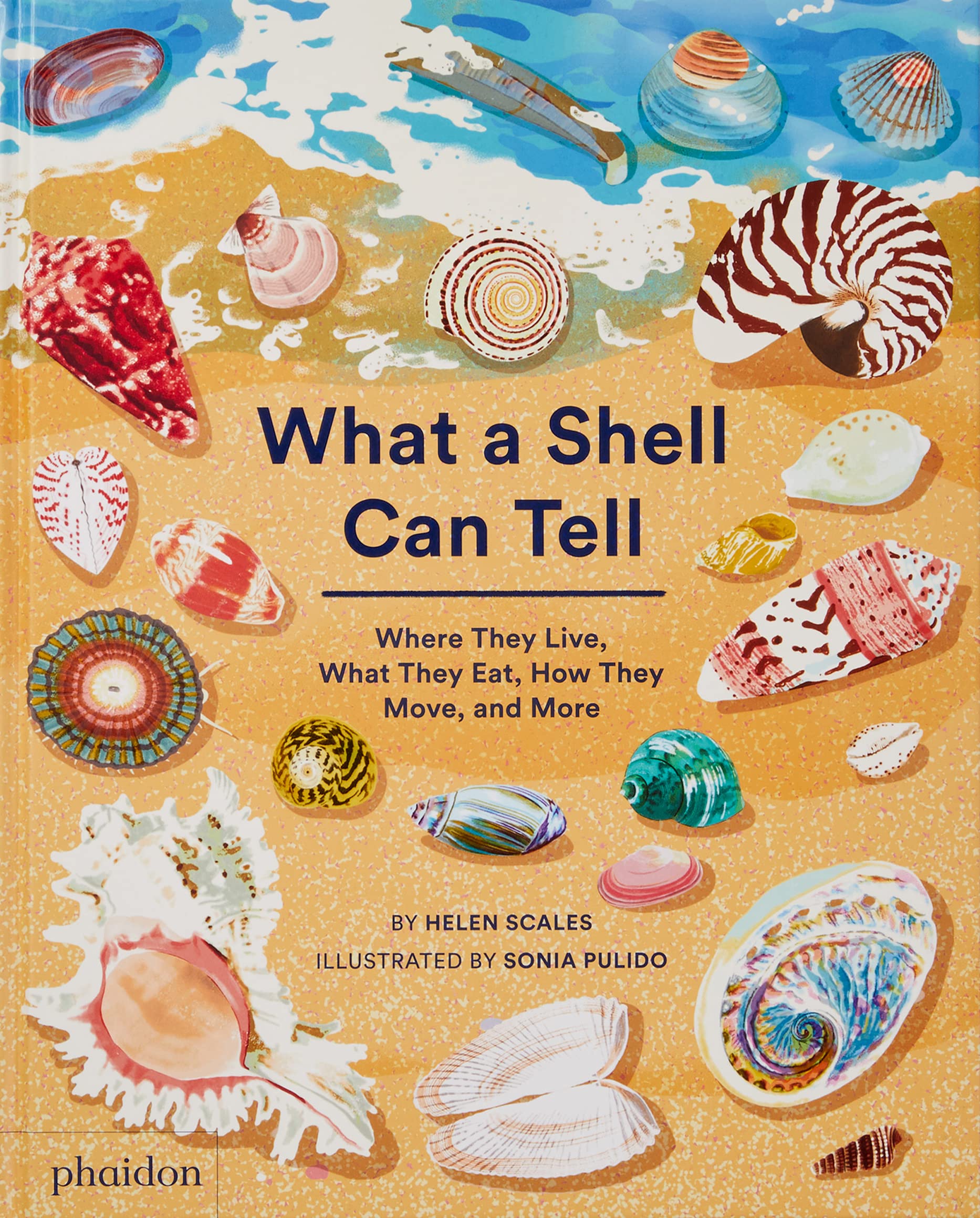 What a Shell Can Tell: Where They Live, What They Eat, How They Move, and More Tiptoi & Games