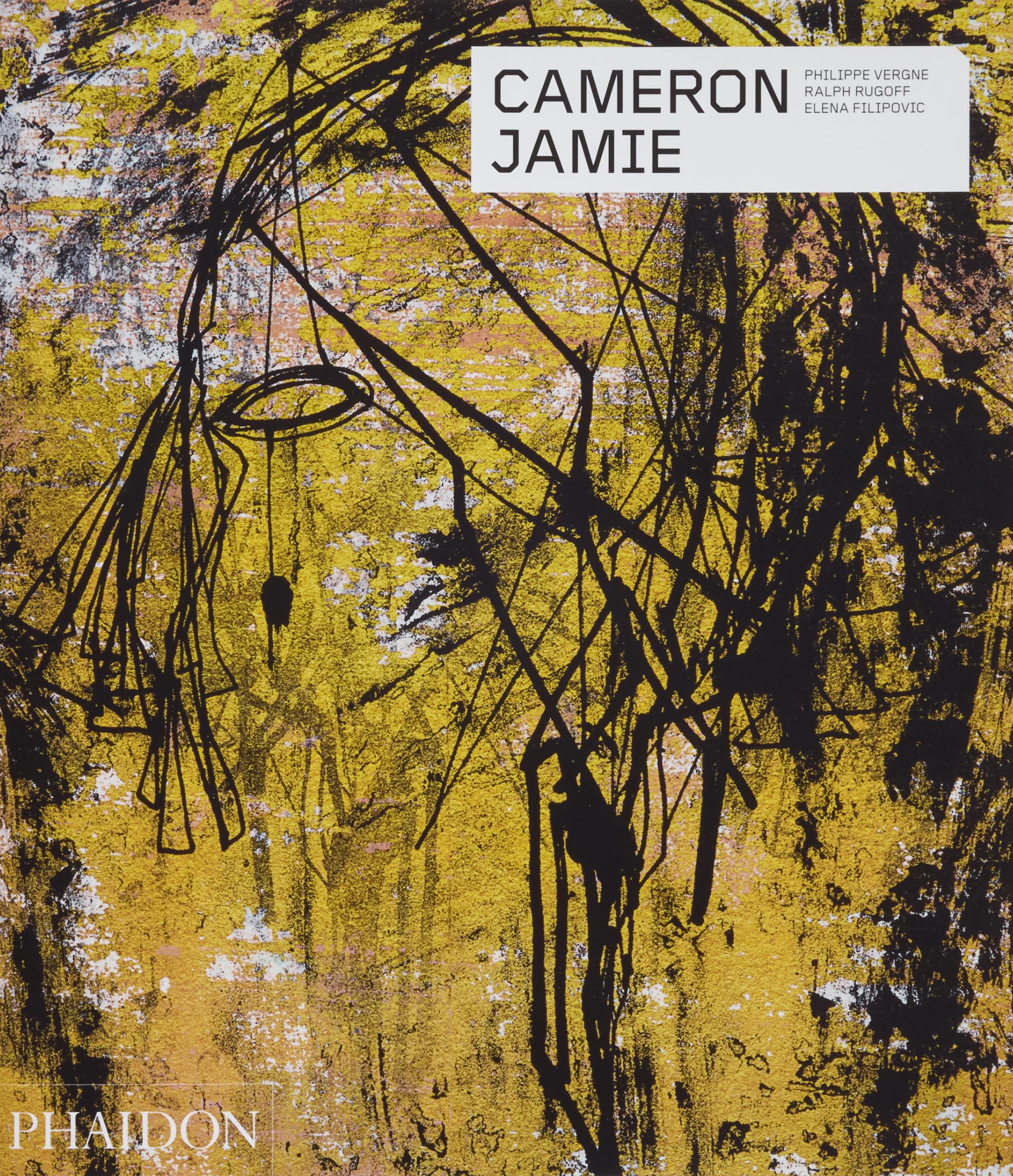 Cameron Jamie (Phaidon Contemporary Artists) Art & Literature