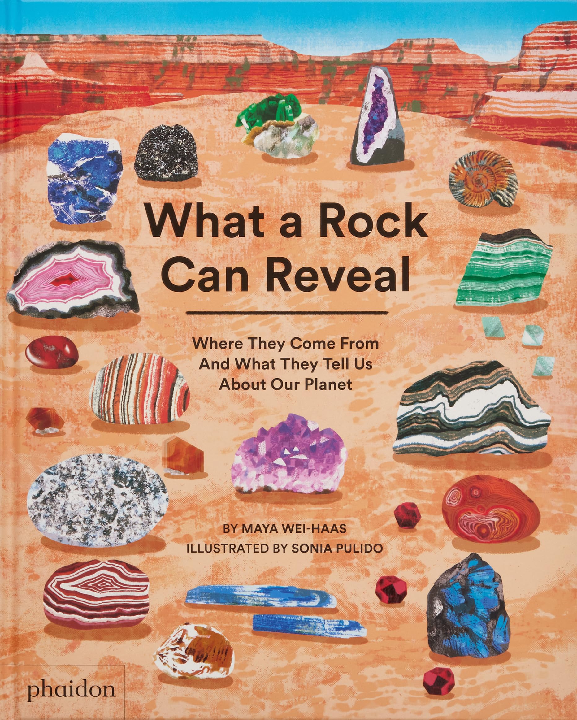 What a Rock Can Reveal: Where They Come from and What They Tell Us About Our Planet Non-fiction