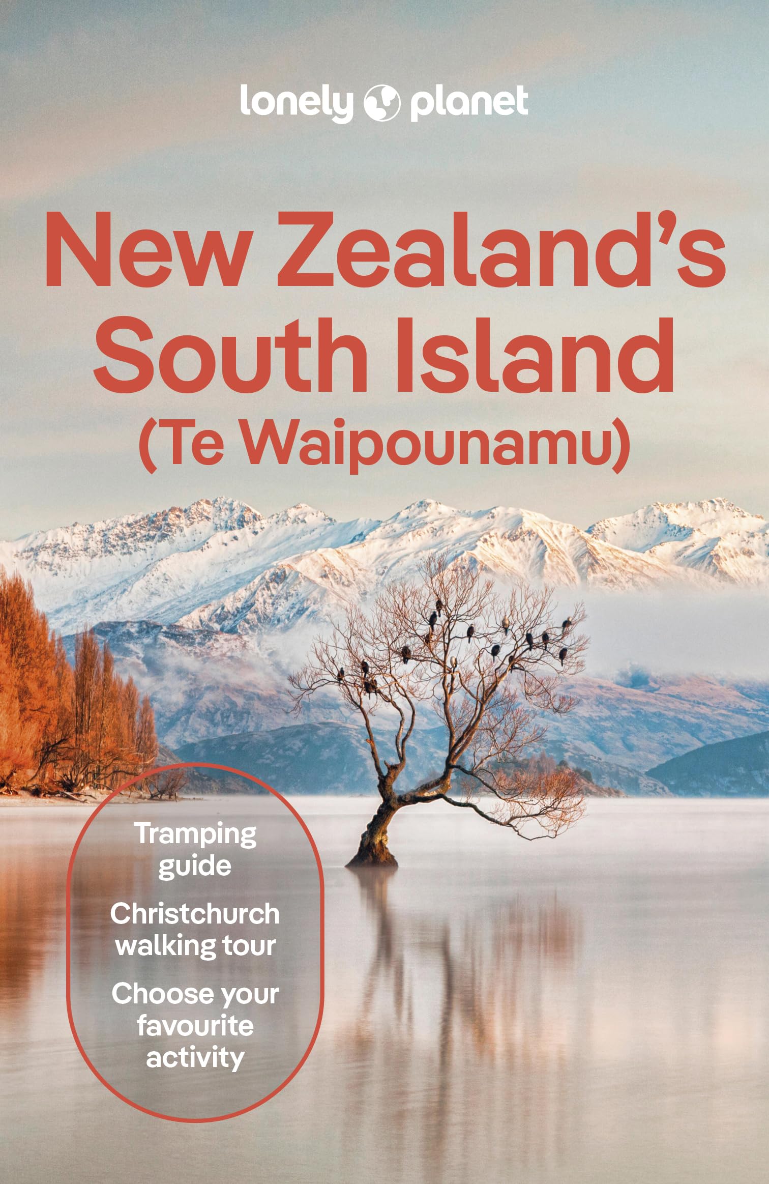 Lonely Planet New Zealand's South Island Leisure, Home & Garden