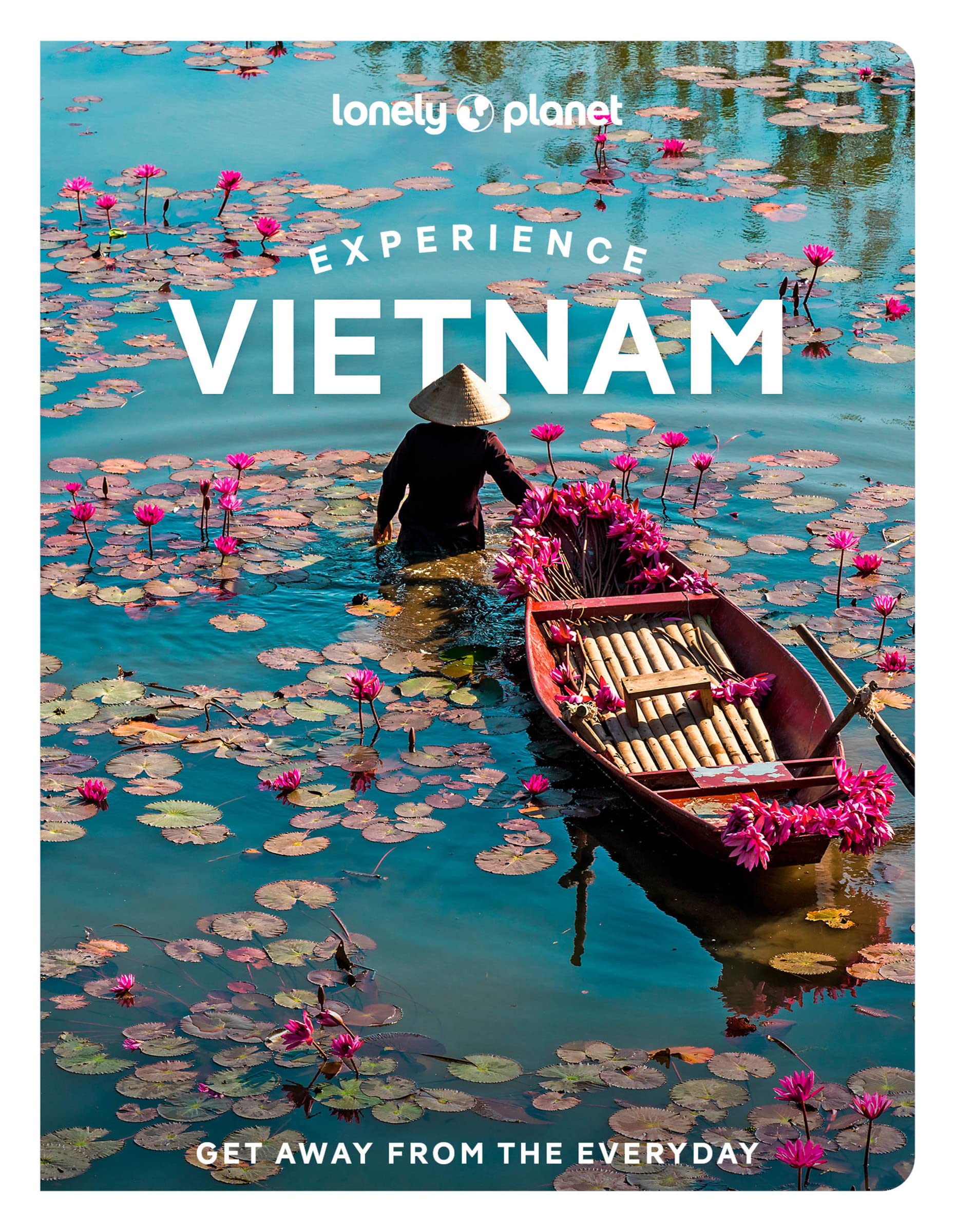 Lonely Planet Experience Vietnam: Get away from the everyday (Travel Guide) Leisure, Home & Garden